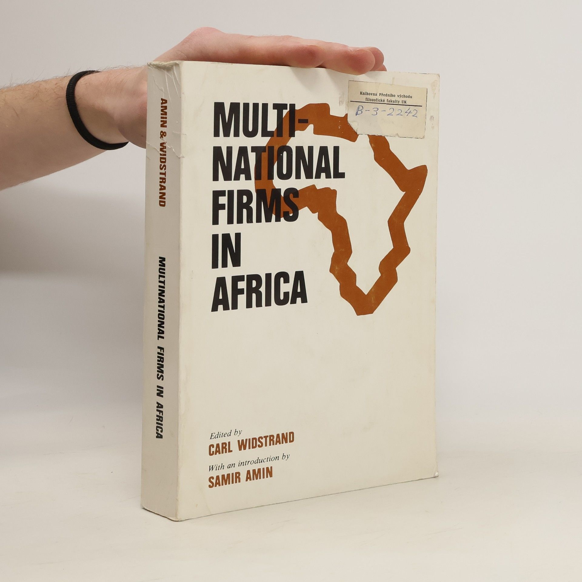 AA.VV. Multinational Firms in Africa