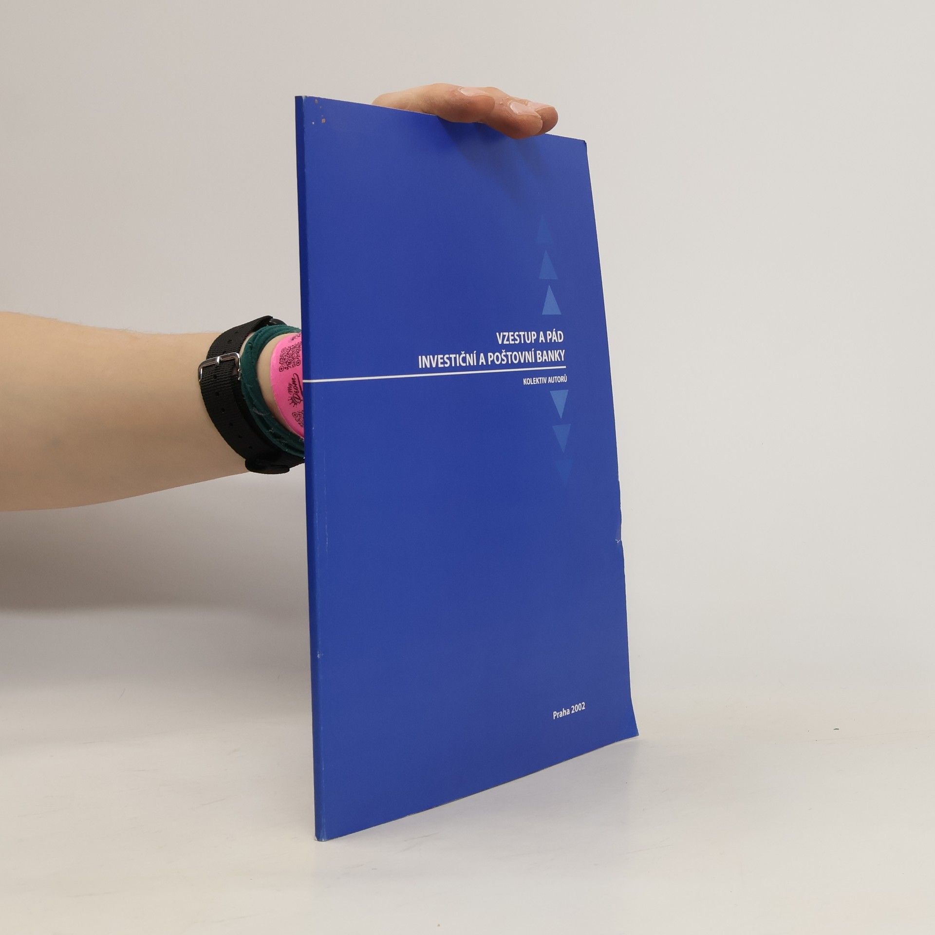 Collectif d'auteurs Vzestup a pád investiční a poštovní banky