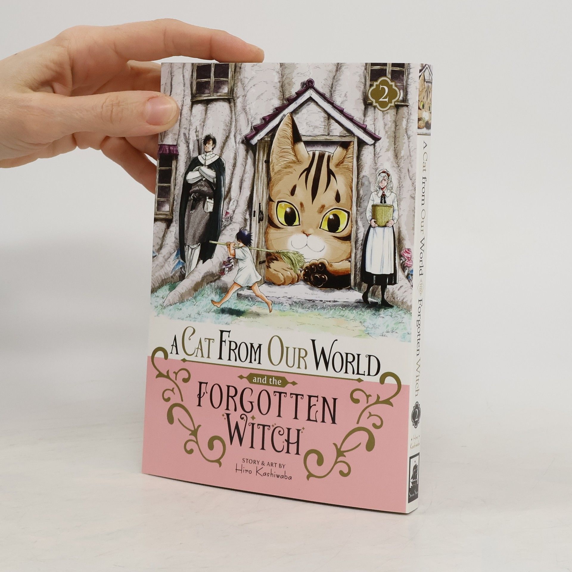 A Cat from Our World and the Forgotten Witch