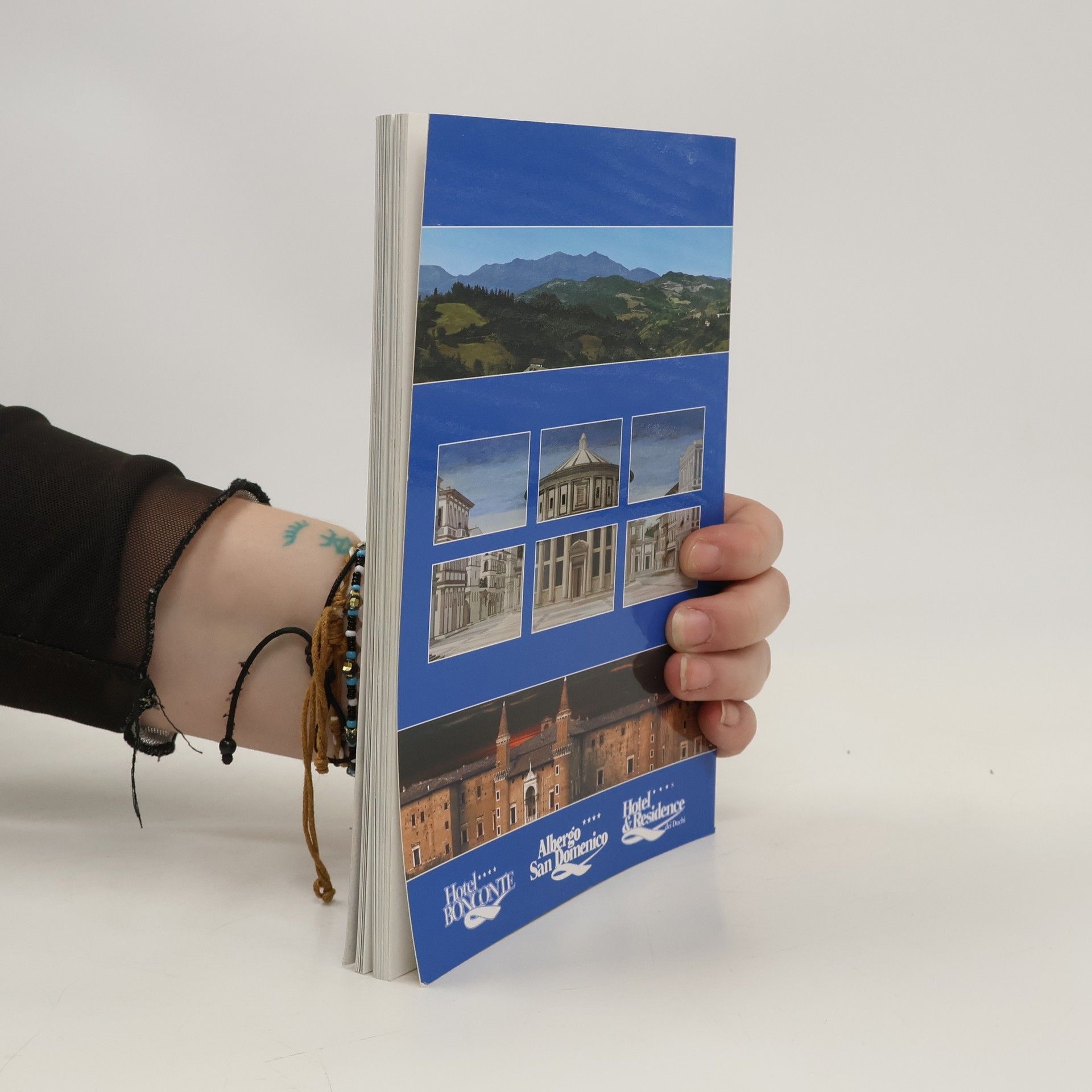 Kolektiv autorů Urbino. Artistic Guide