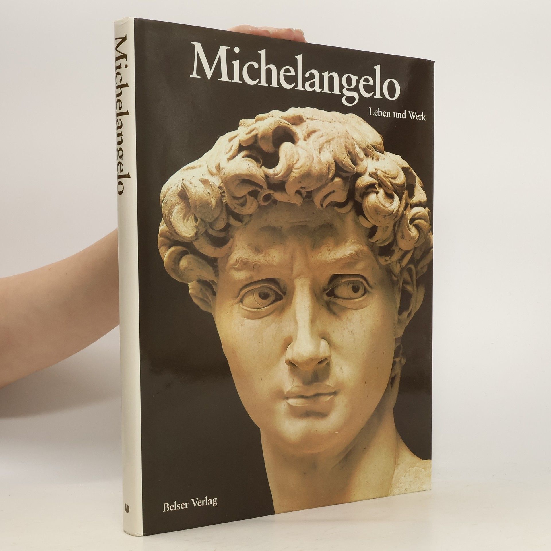 Bernard Lamarche-Vadel Michelangelo