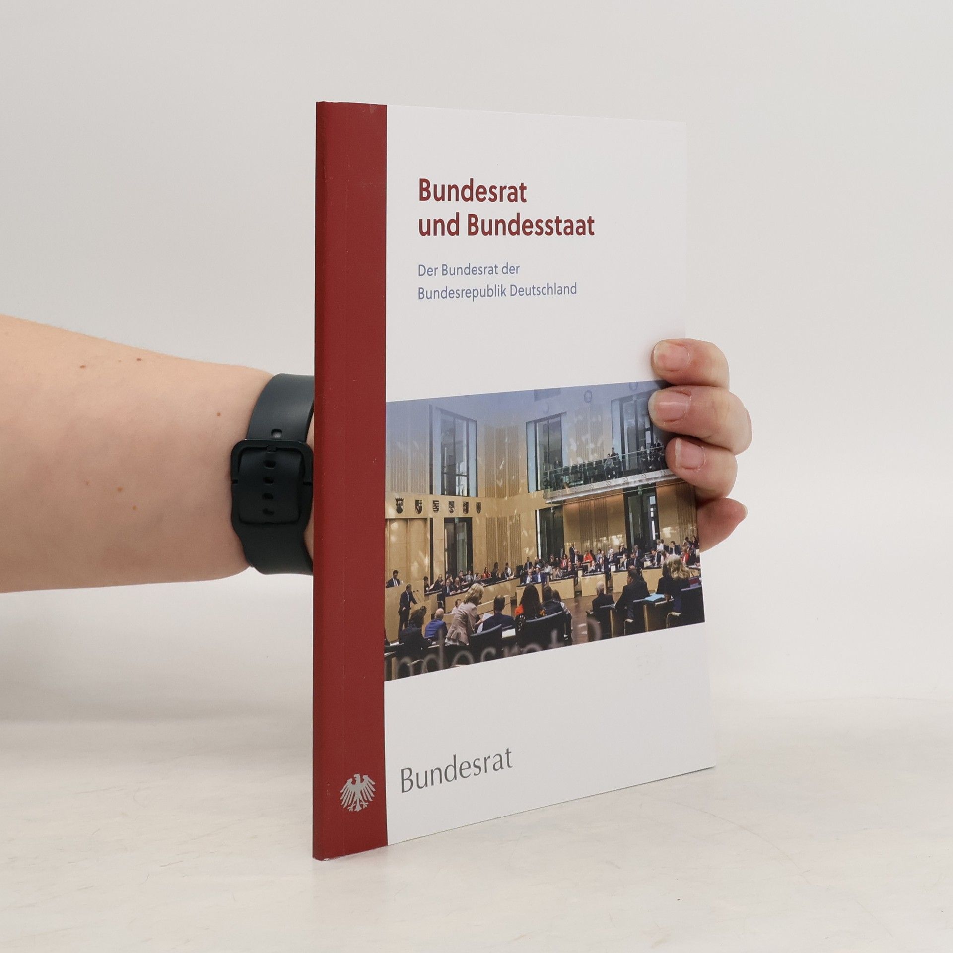 Collectif d'auteurs Bundesrat und Bundesstaat