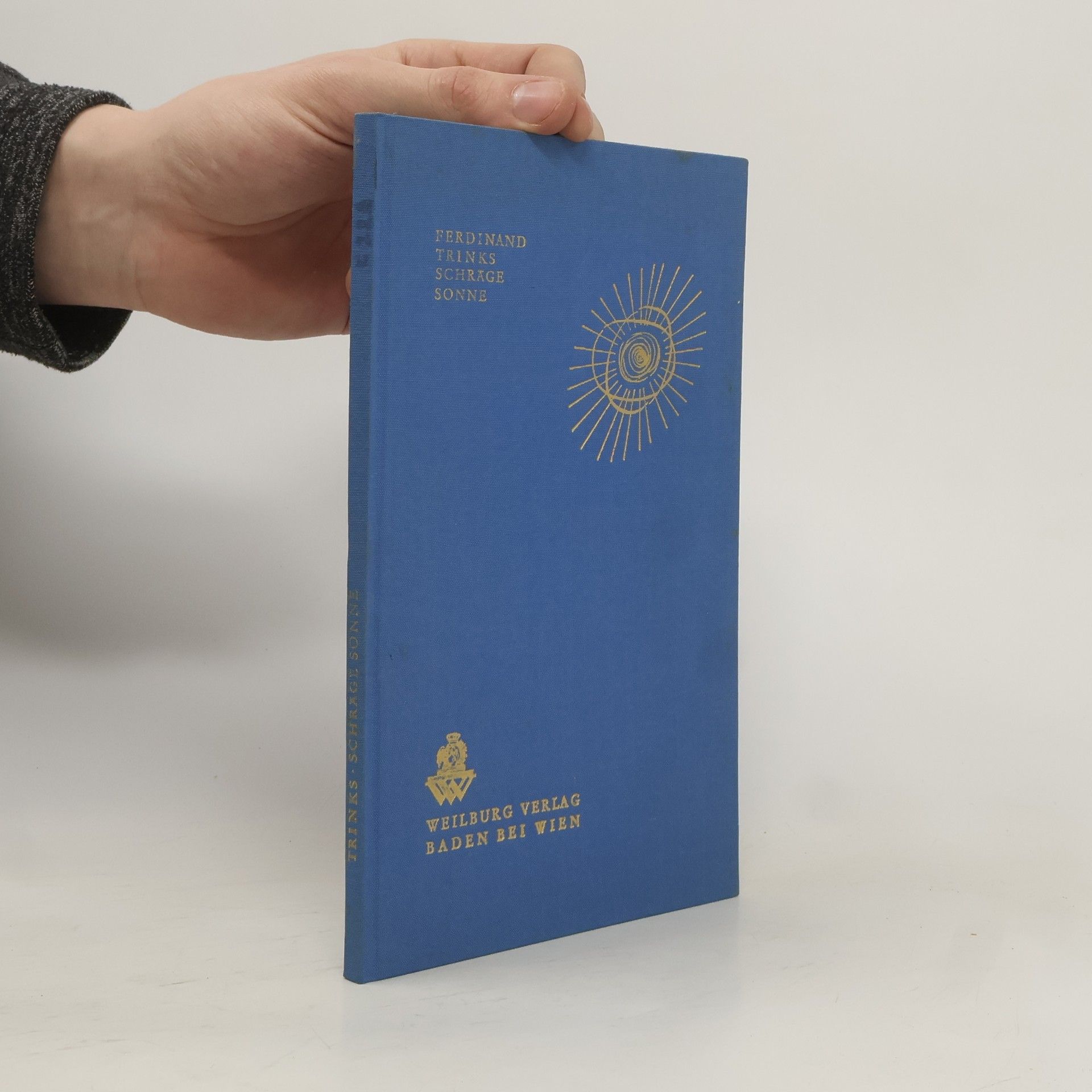 Ferdinand Trinks Schräge Sonne