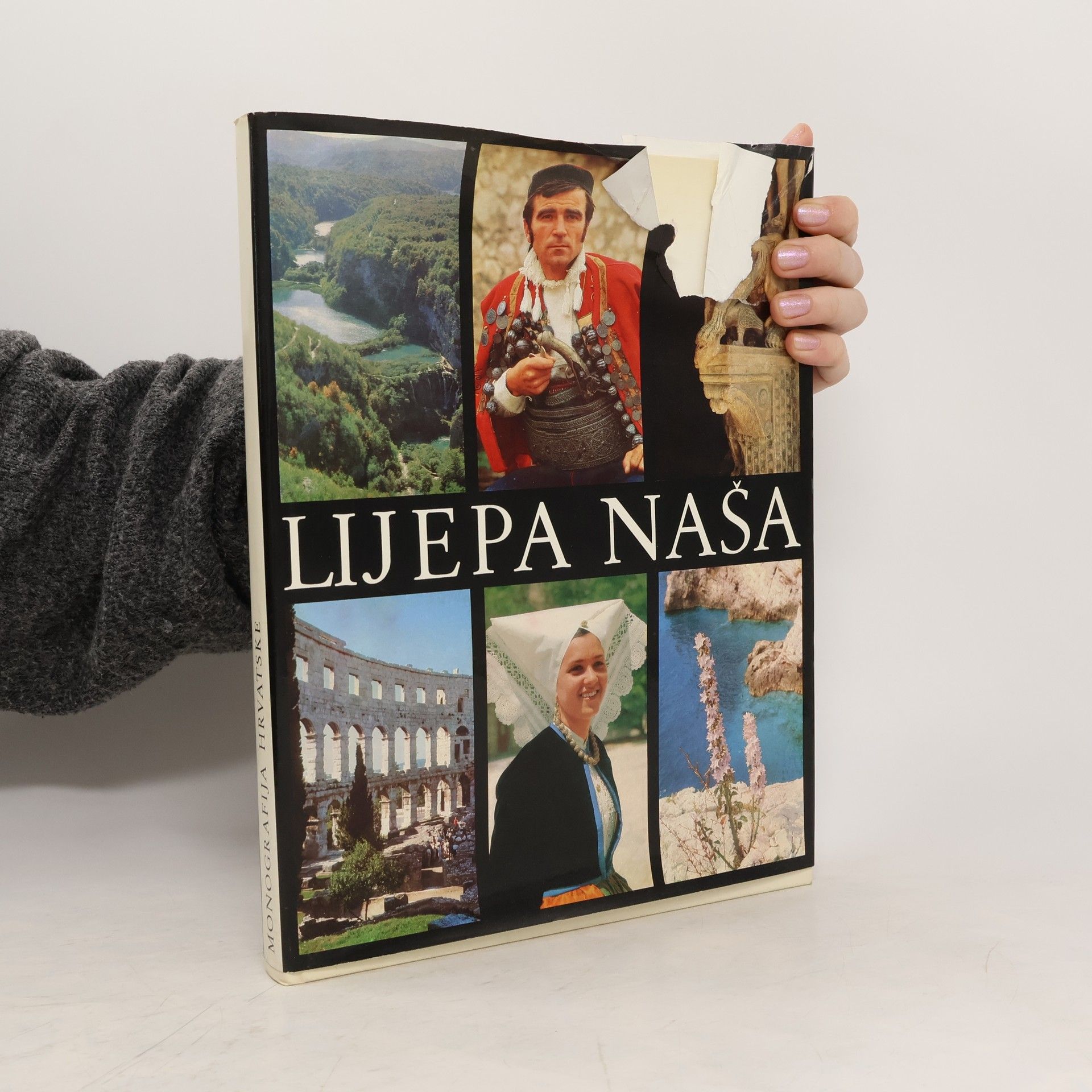 Autorenkollektiv Lijepa naša. Monografija Hrvatske