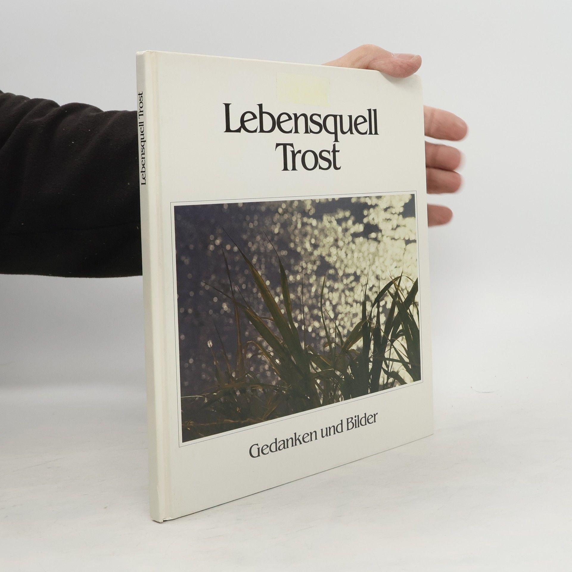 Collectif d'auteurs Lebensquell Trost