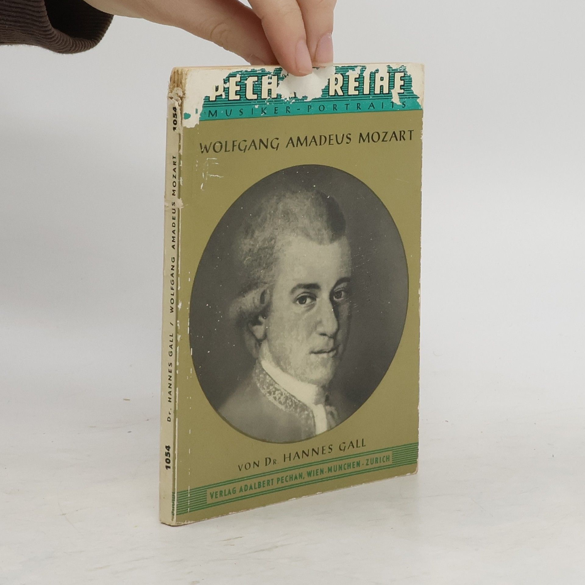 Hannes Gall Wolfgang Amadeus Mozart