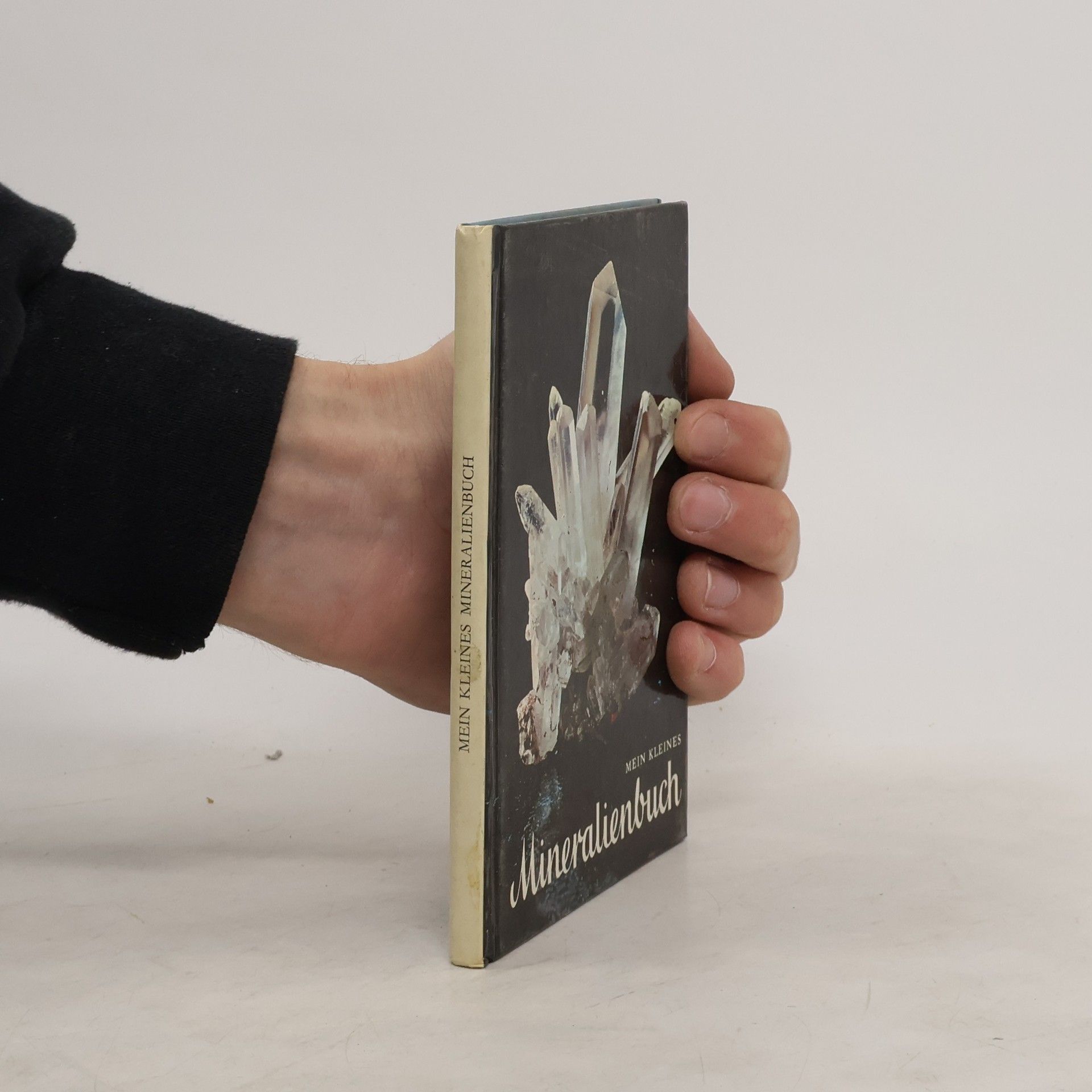 Kolektiv autorů Mein kleines Mineralienbuch