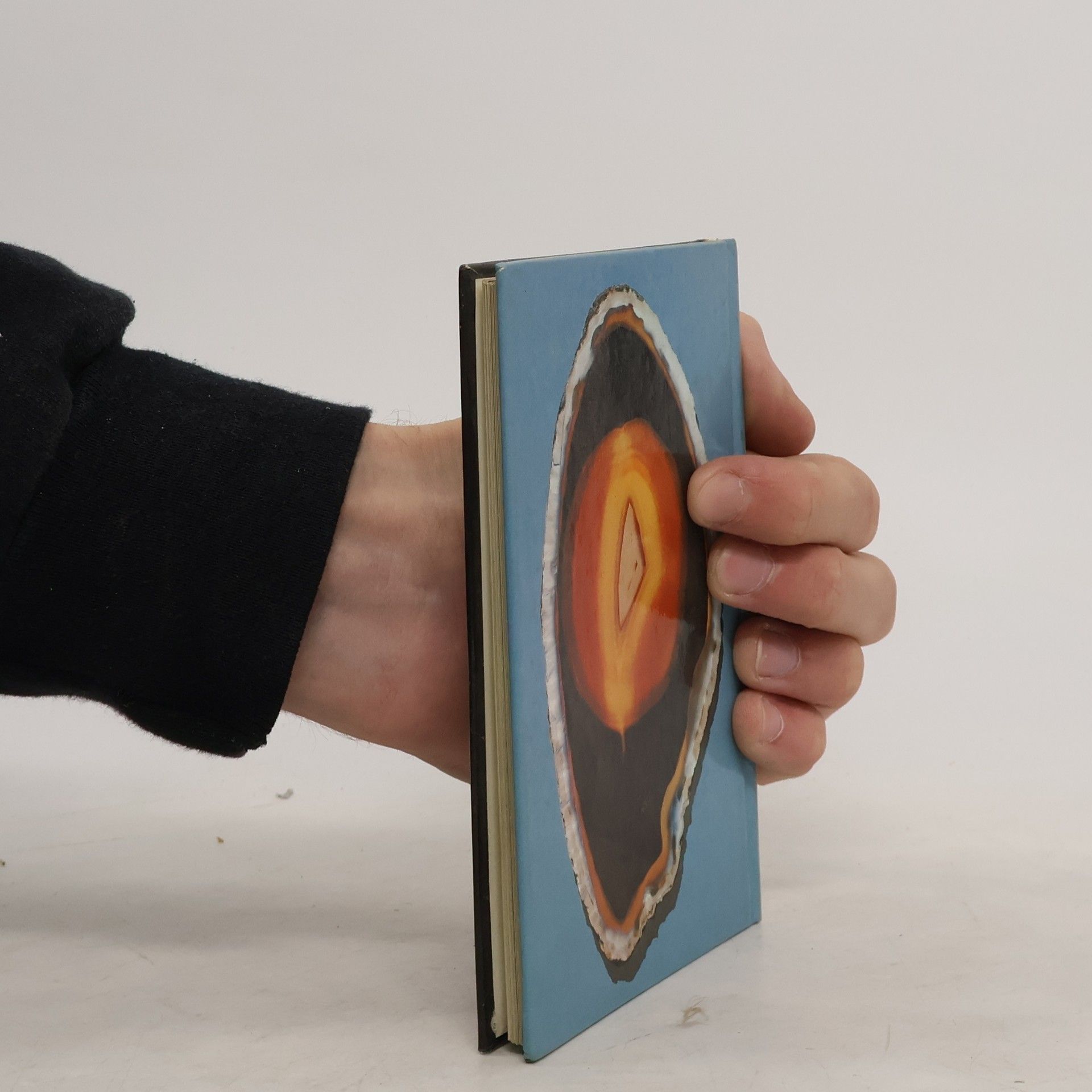 Kolektiv autorů Mein kleines Mineralienbuch