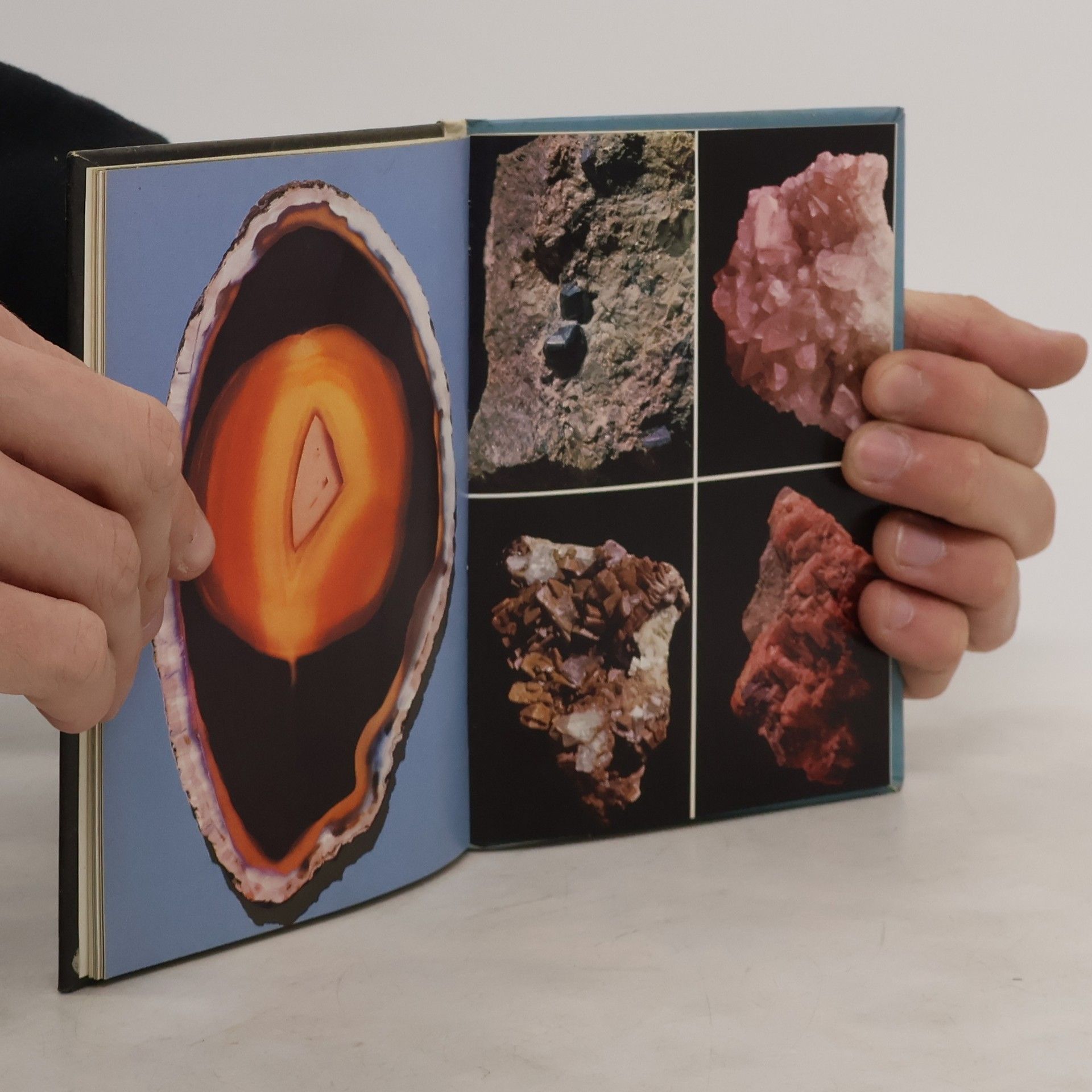 Kolektiv autorů Mein kleines Mineralienbuch