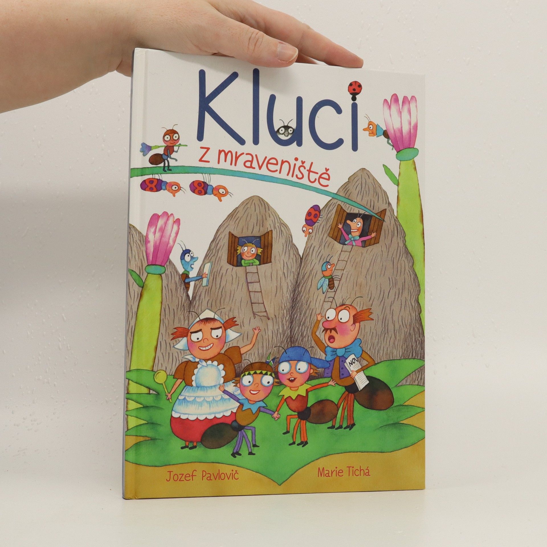 Marie Tichá Kluci z mraveniště