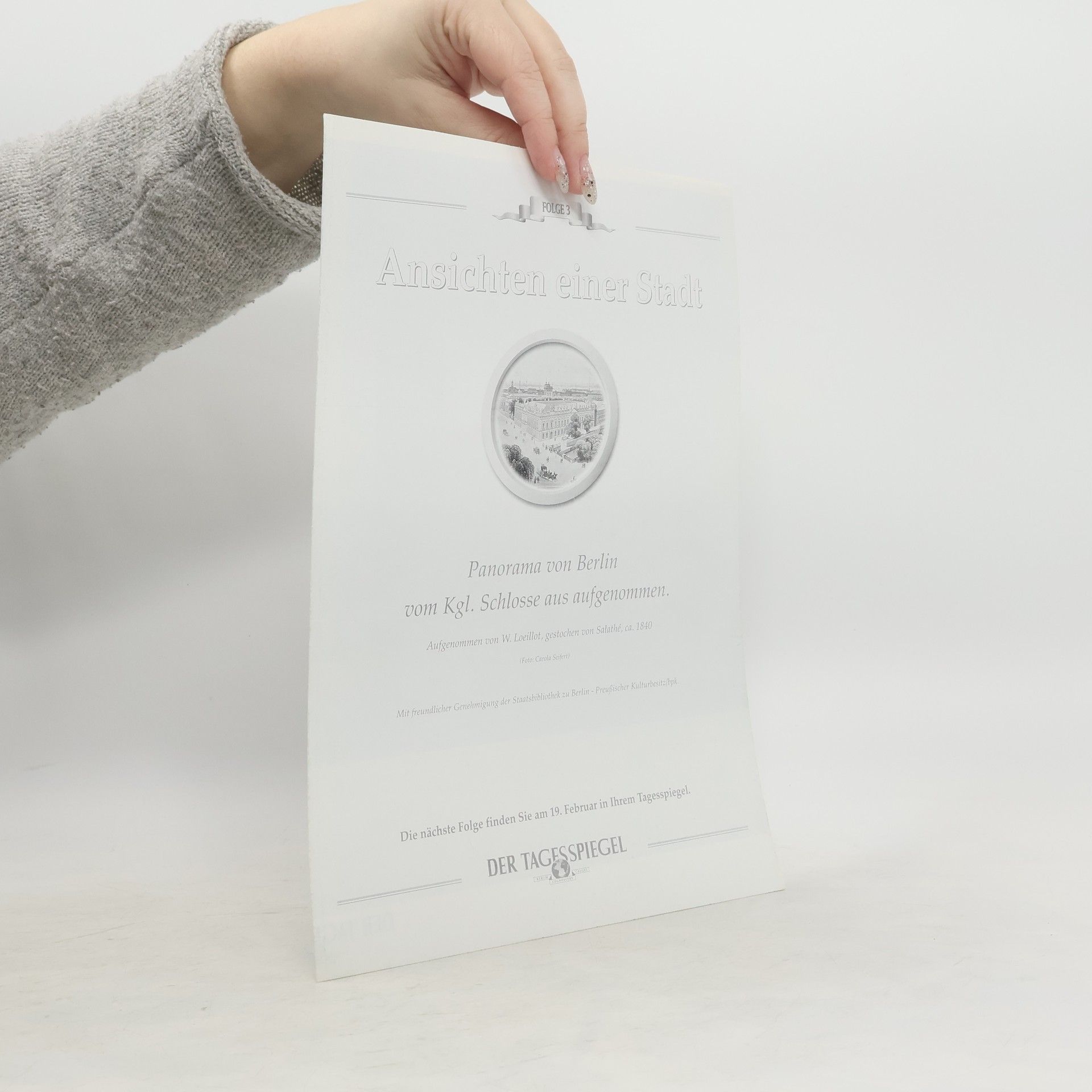 Autorenkollektiv Ansichten einer Stadt: Panorama von Berlin vom Kgl. Schlosse aus aufgenommen