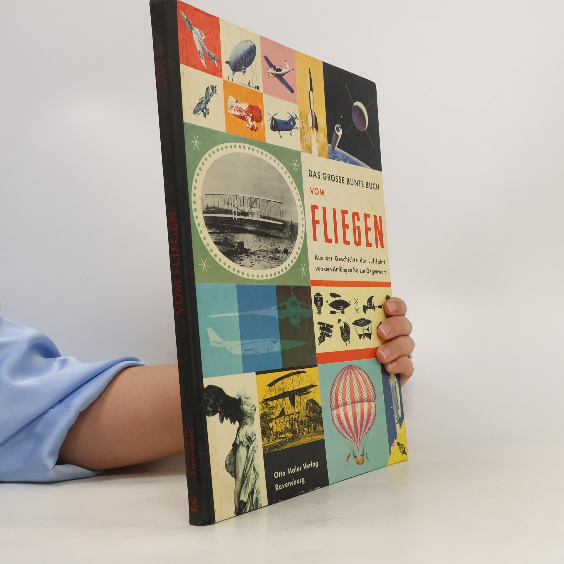 Collective Das grosse Bunte Buch von Fliegen