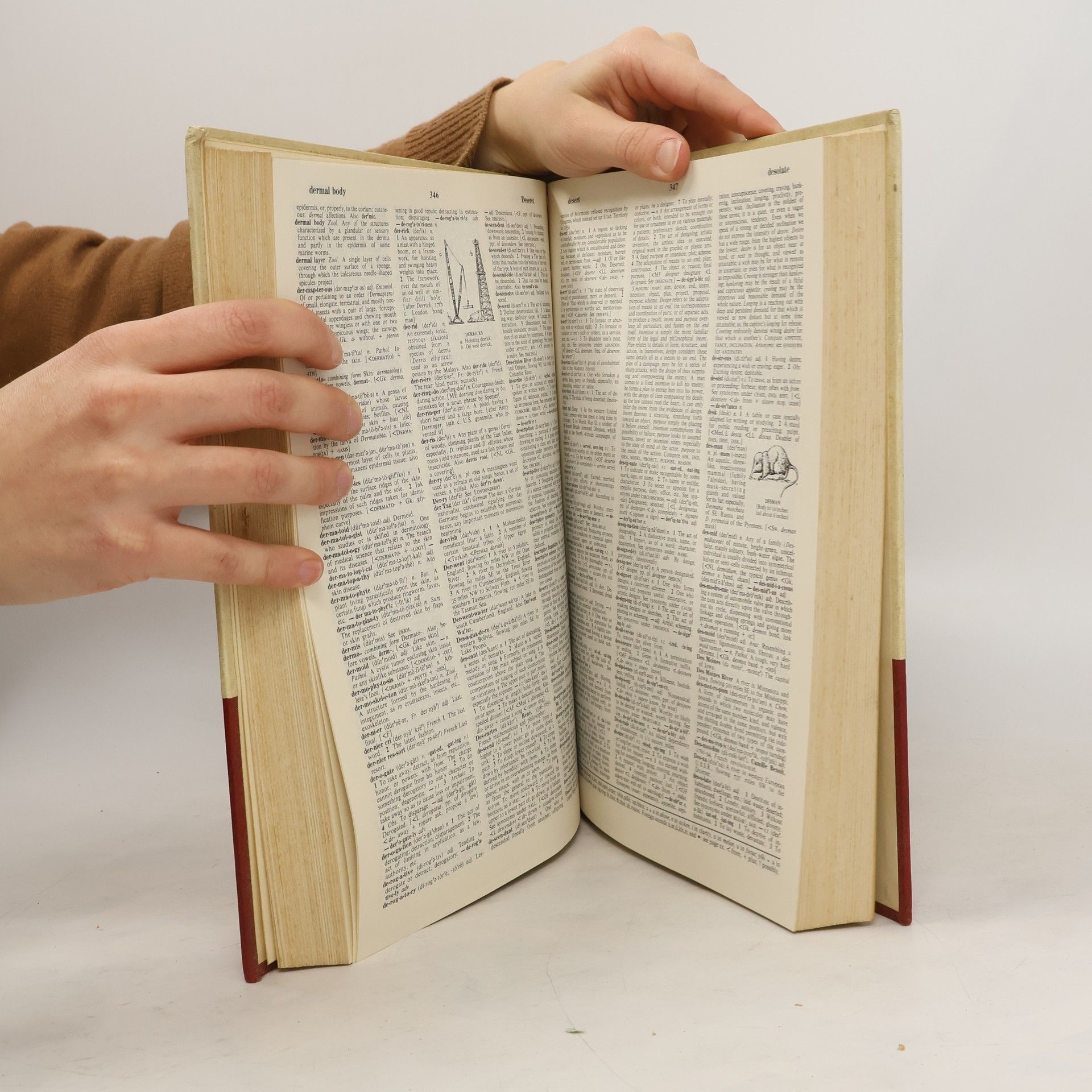 Autorenkollektiv Funk & Wagnalls Standard Dictionary