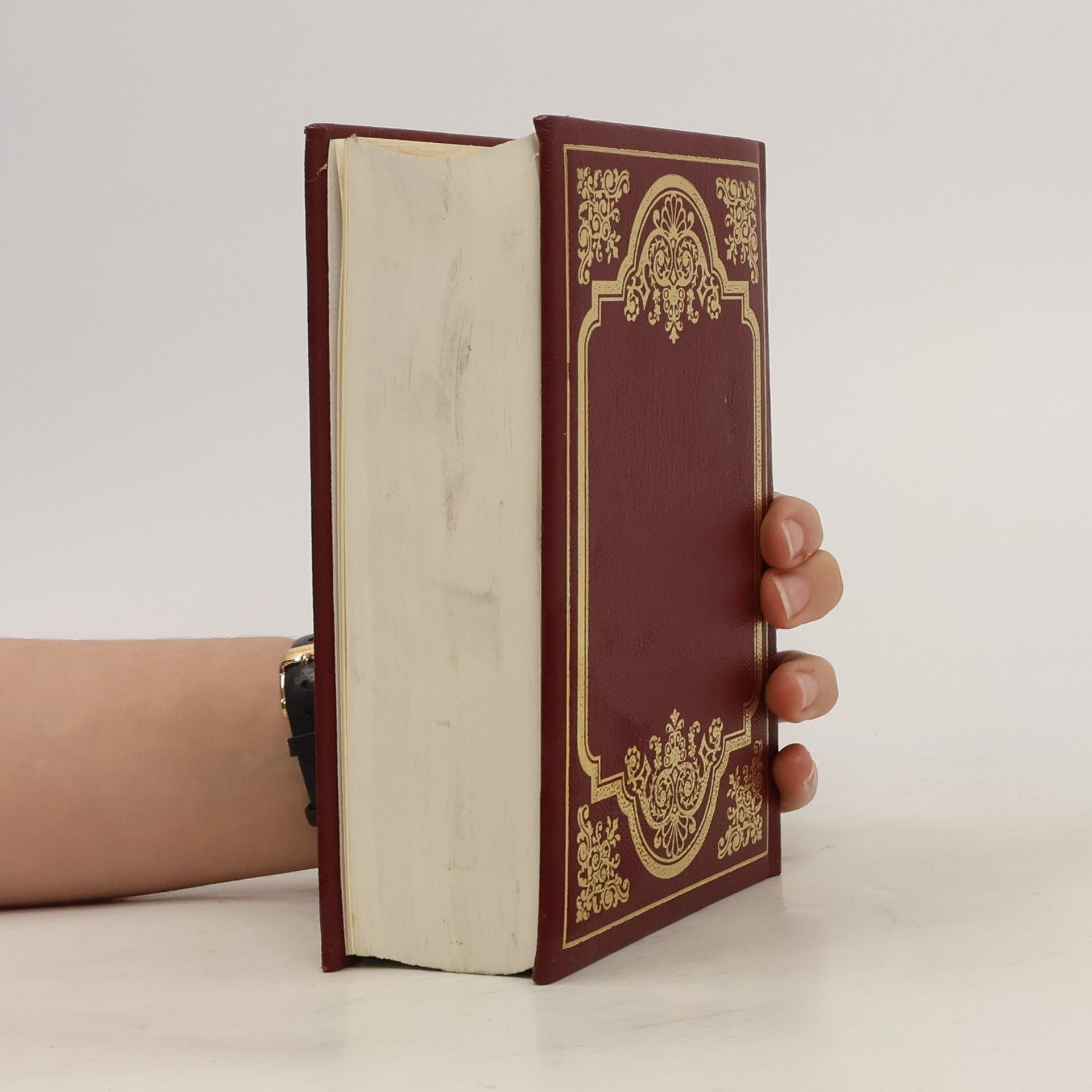 Collectif d'auteurs Die Bibel