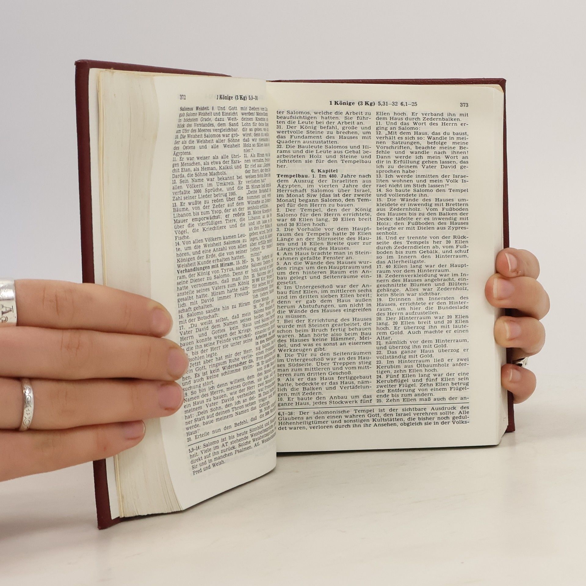 Collectif d'auteurs Die Bibel