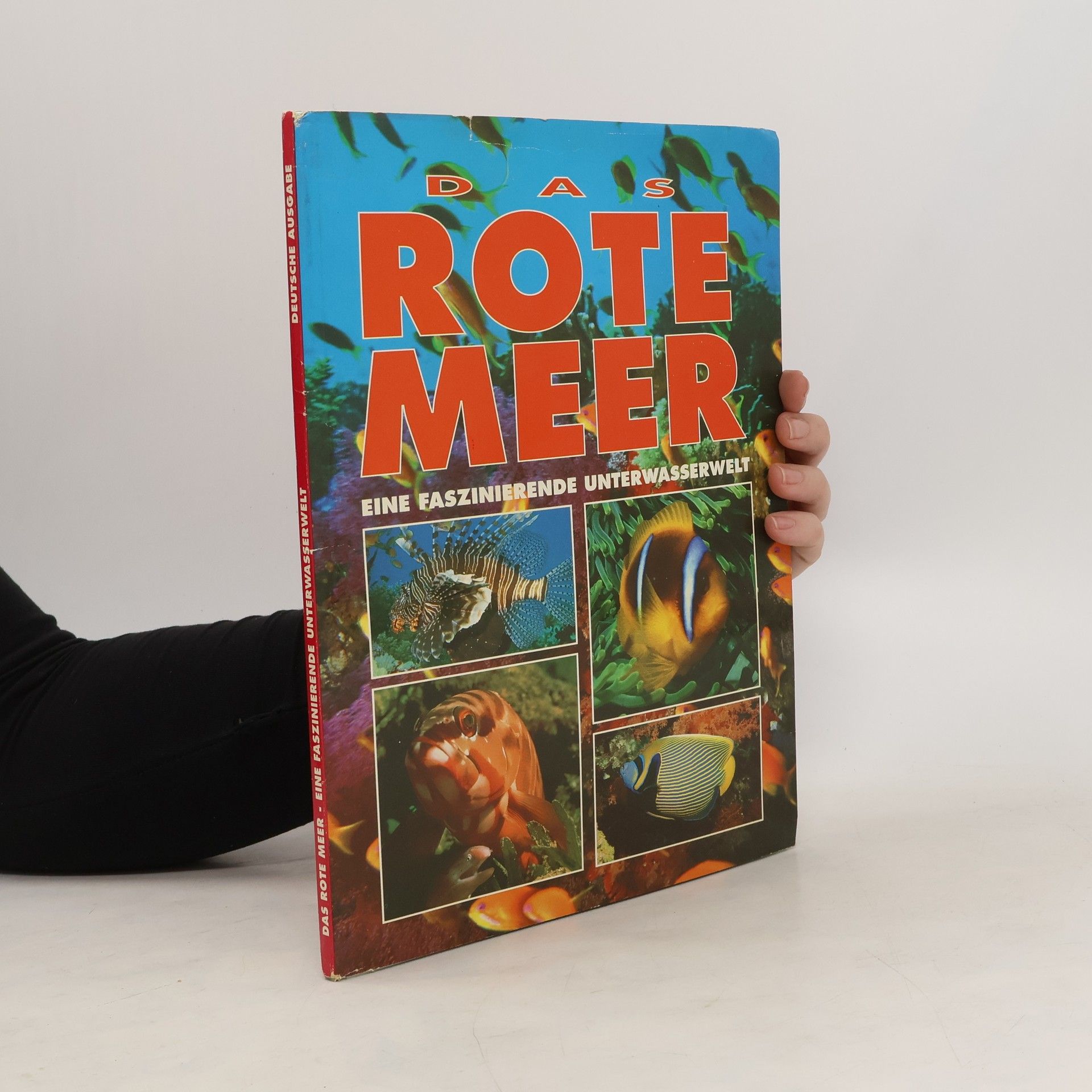 Collectif d'auteurs Das Rote Meer. Eine Faszinierende Unterwasserwelt