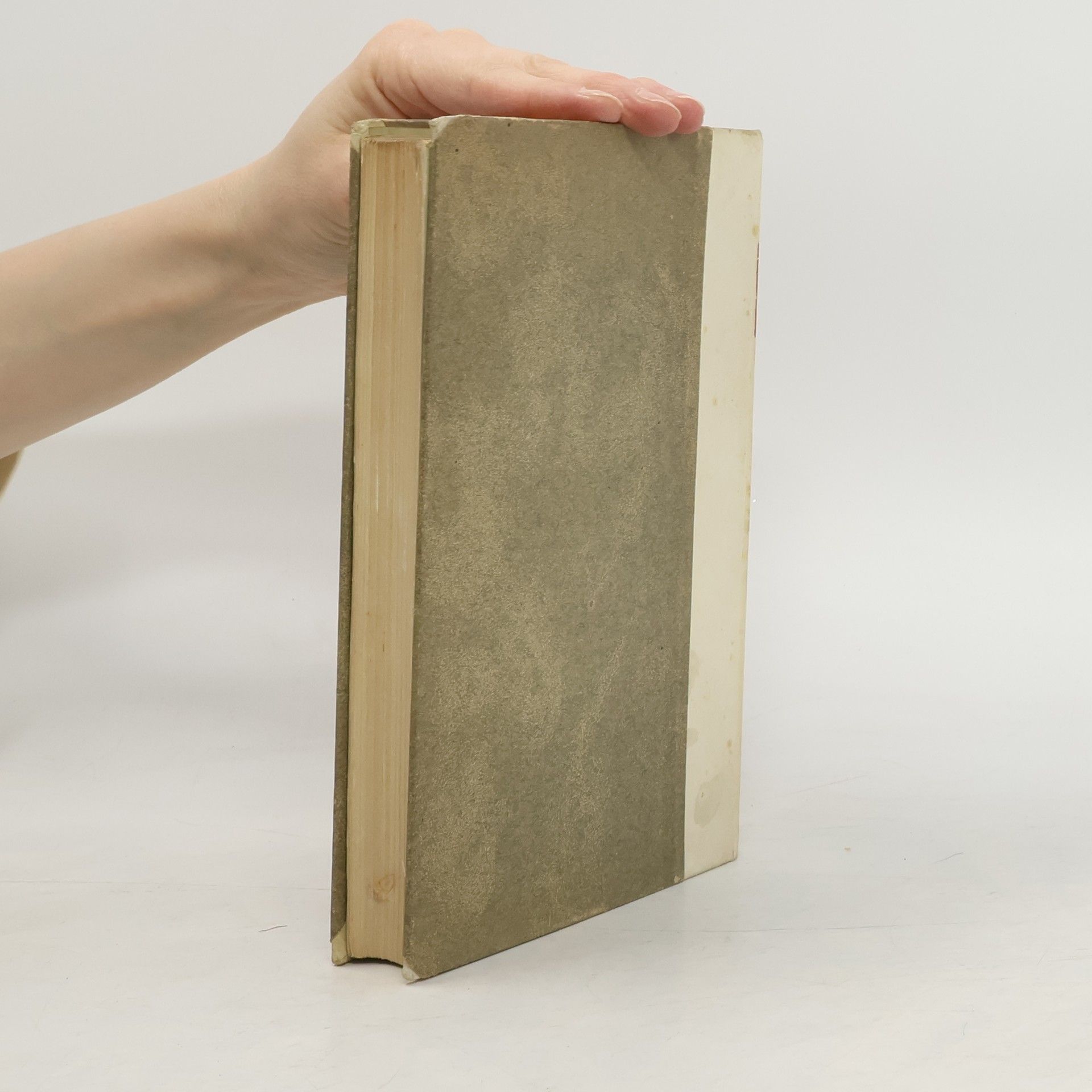 AA.VV. Bibliothek der Kirchenväter VII. Band