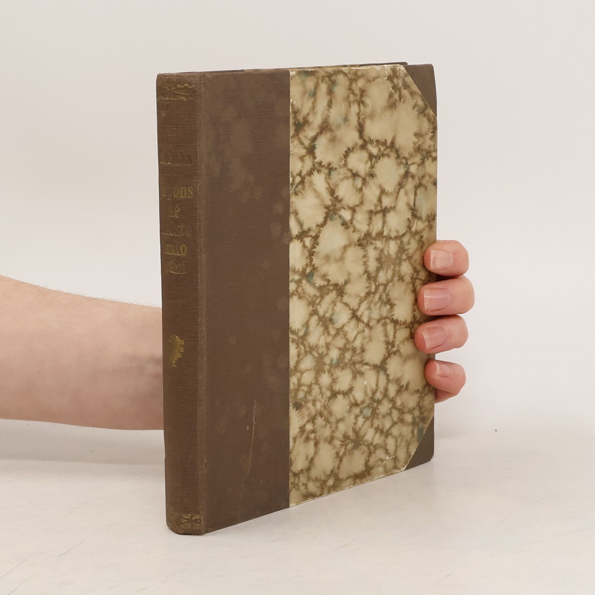 H. Záhruba Jošiwara. Japonské město milování III