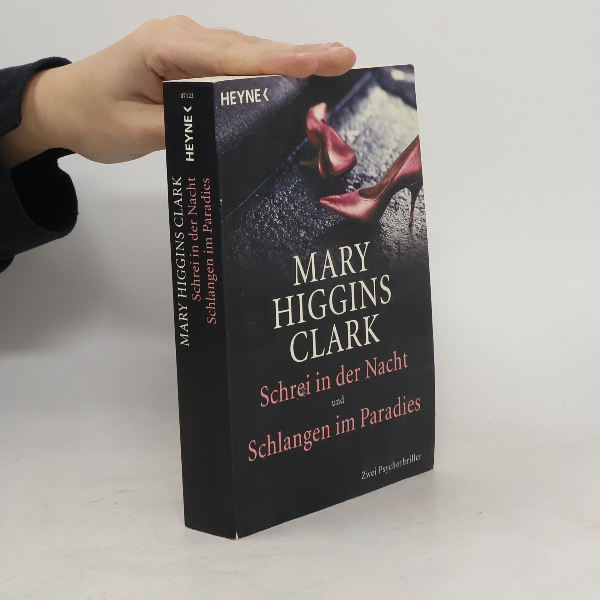Mary Higgins Clark Schrei in der Nacht