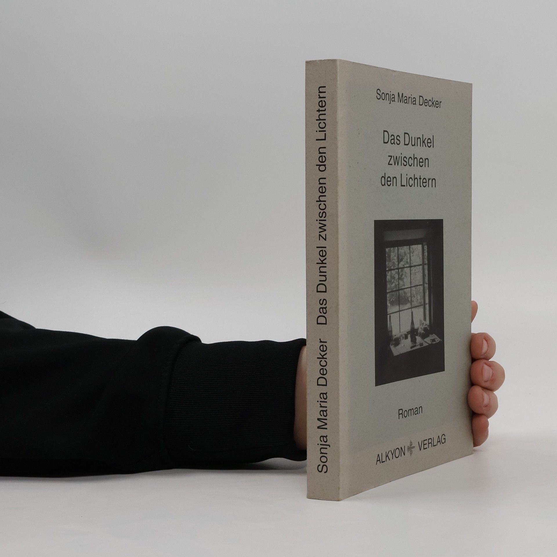 Sonja Maria Decker Das Dunkel zwischen den Lichtern