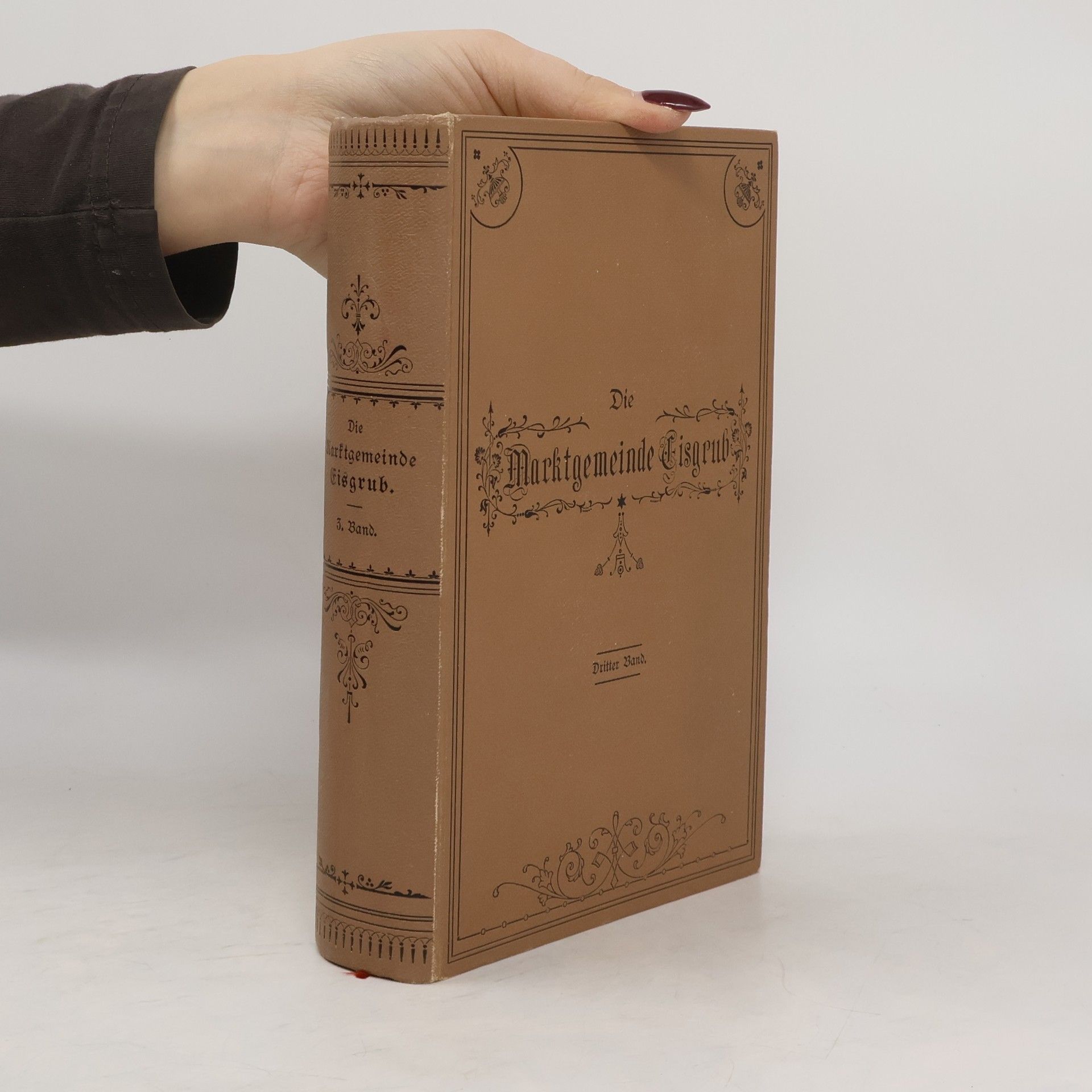 Michael Wikany Die Marktgemeinde Eisgrub III