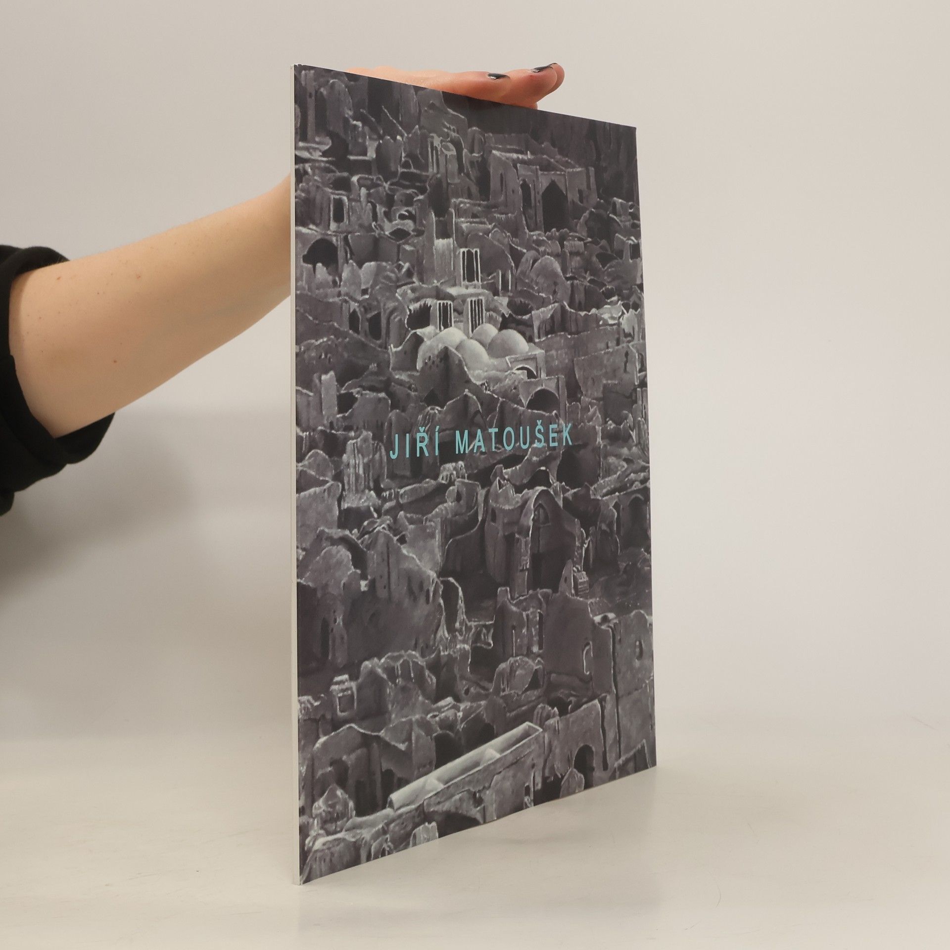 Kolektív autorov Jiří Matoušek. Přírodní struktury