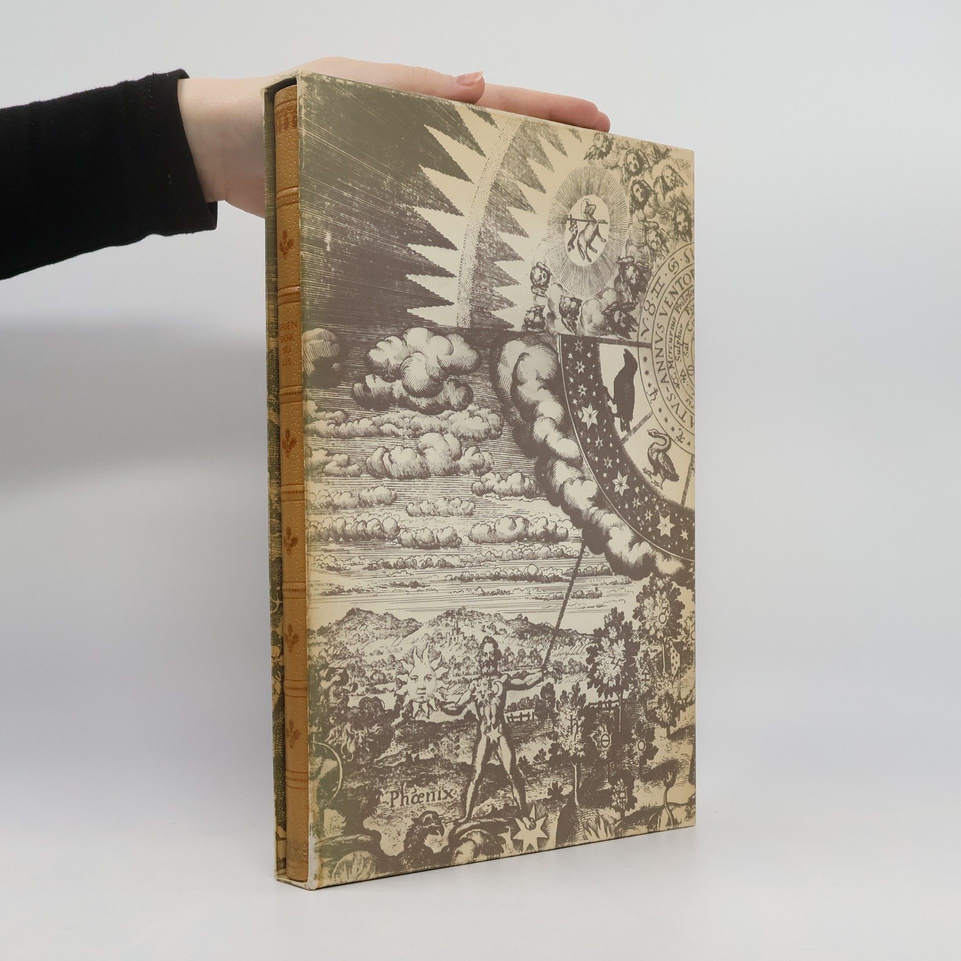 Autorenkollektiv Das gegenwertige Büchlein wird genandt Splendor Solis oder Sonnenglantz