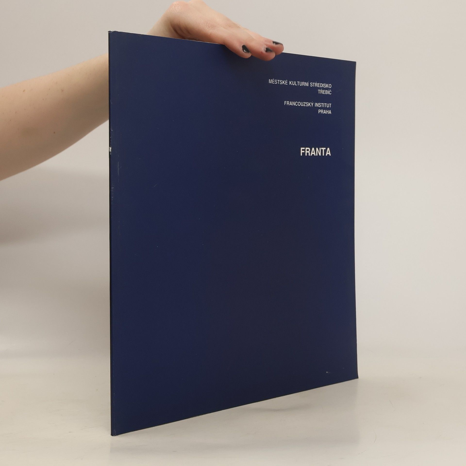 Autorenkollektiv Franta: Obrazy, kresby, sochy z let 1987-1996