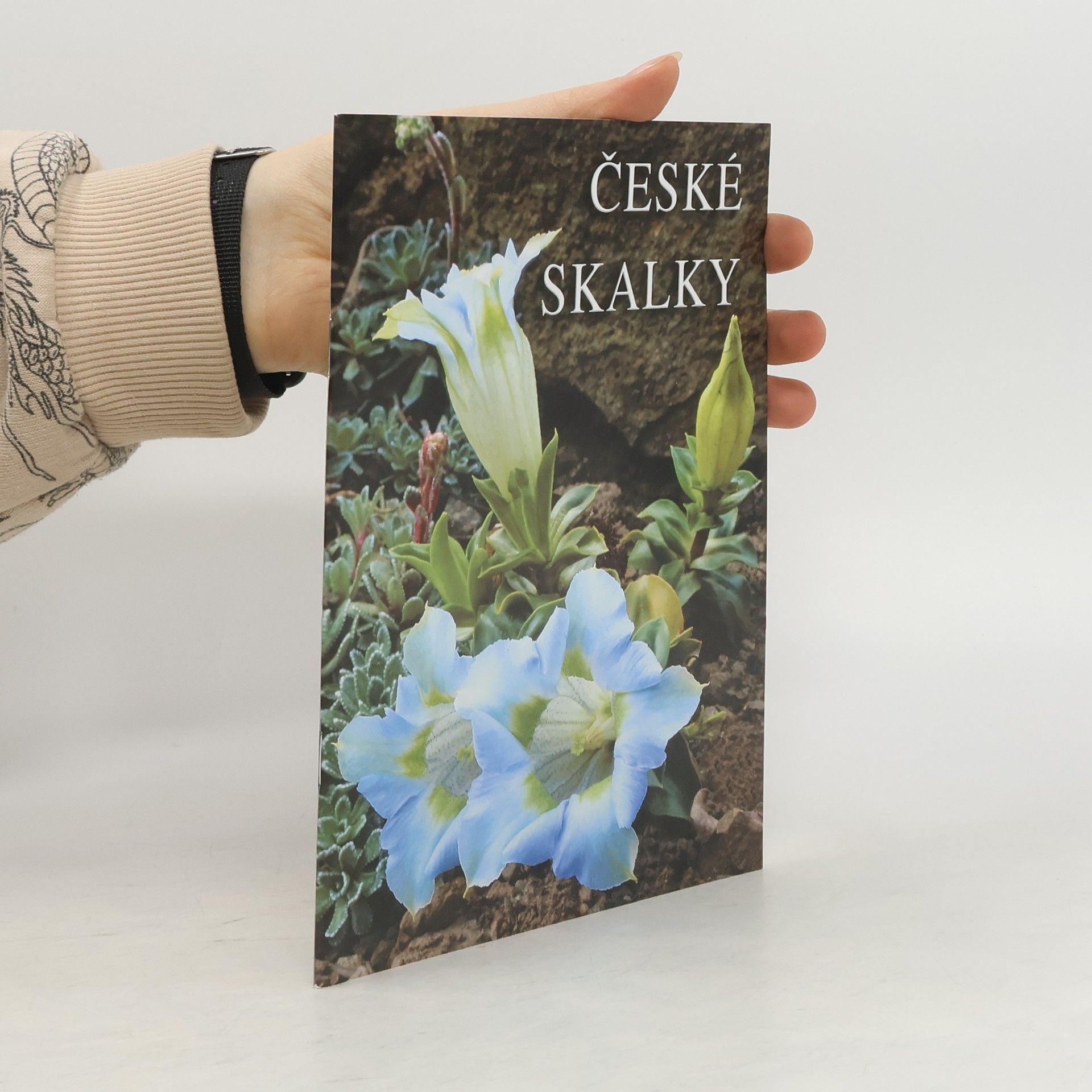 Collectif d'auteurs České skalky