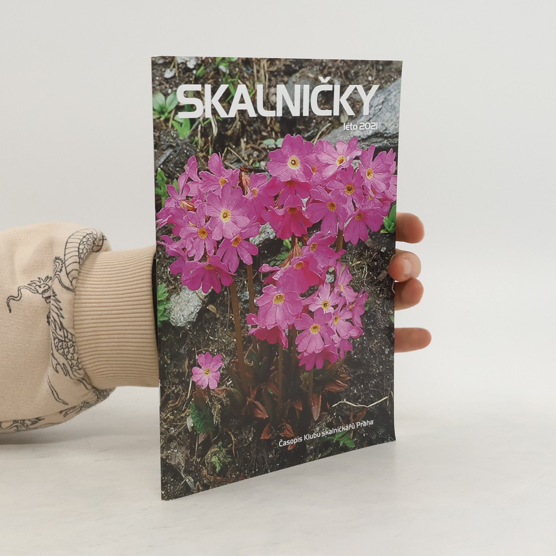 Collectif d'auteurs Skalničky léto/2021