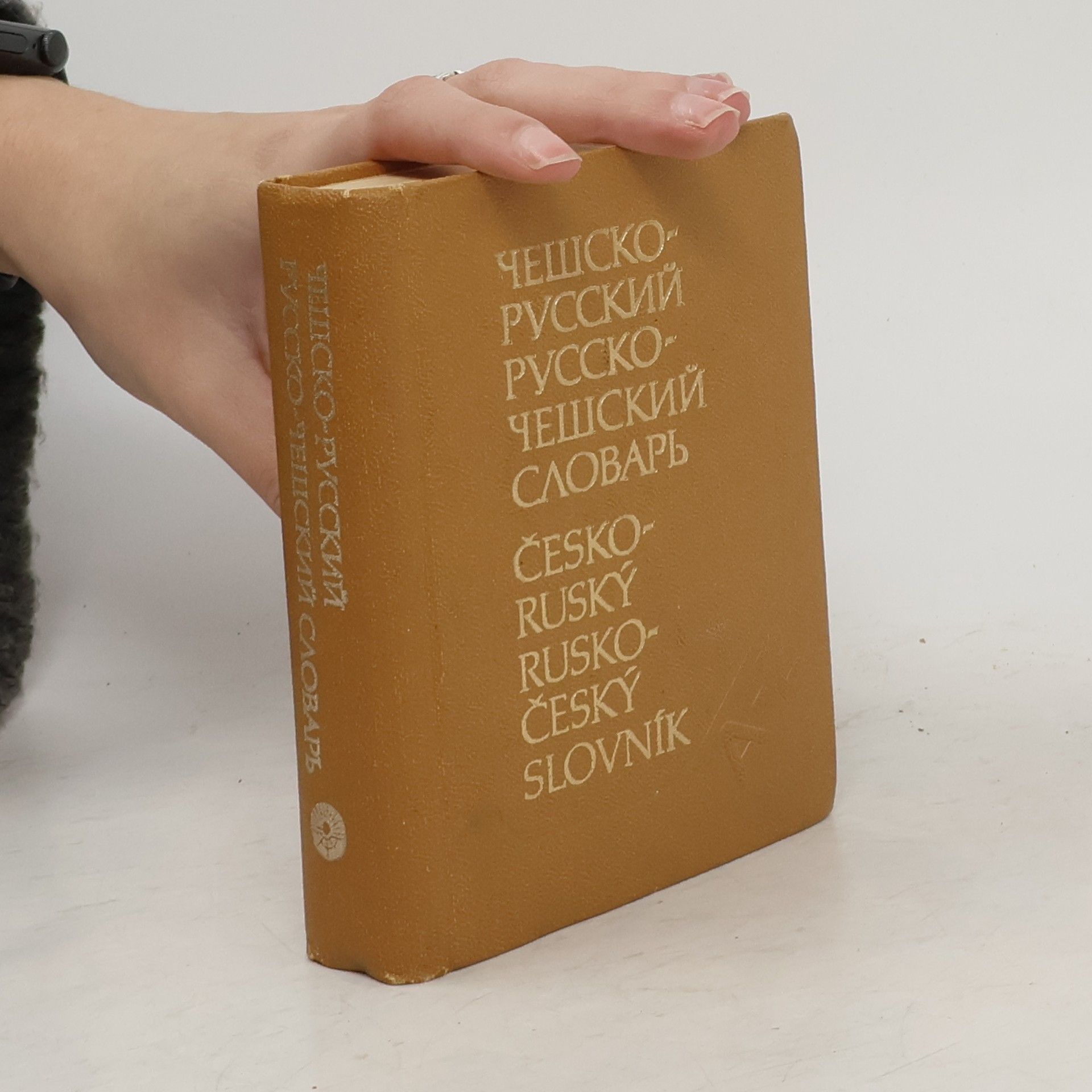 Collectif d'auteurs Česko-ruský rusko-český slovník
