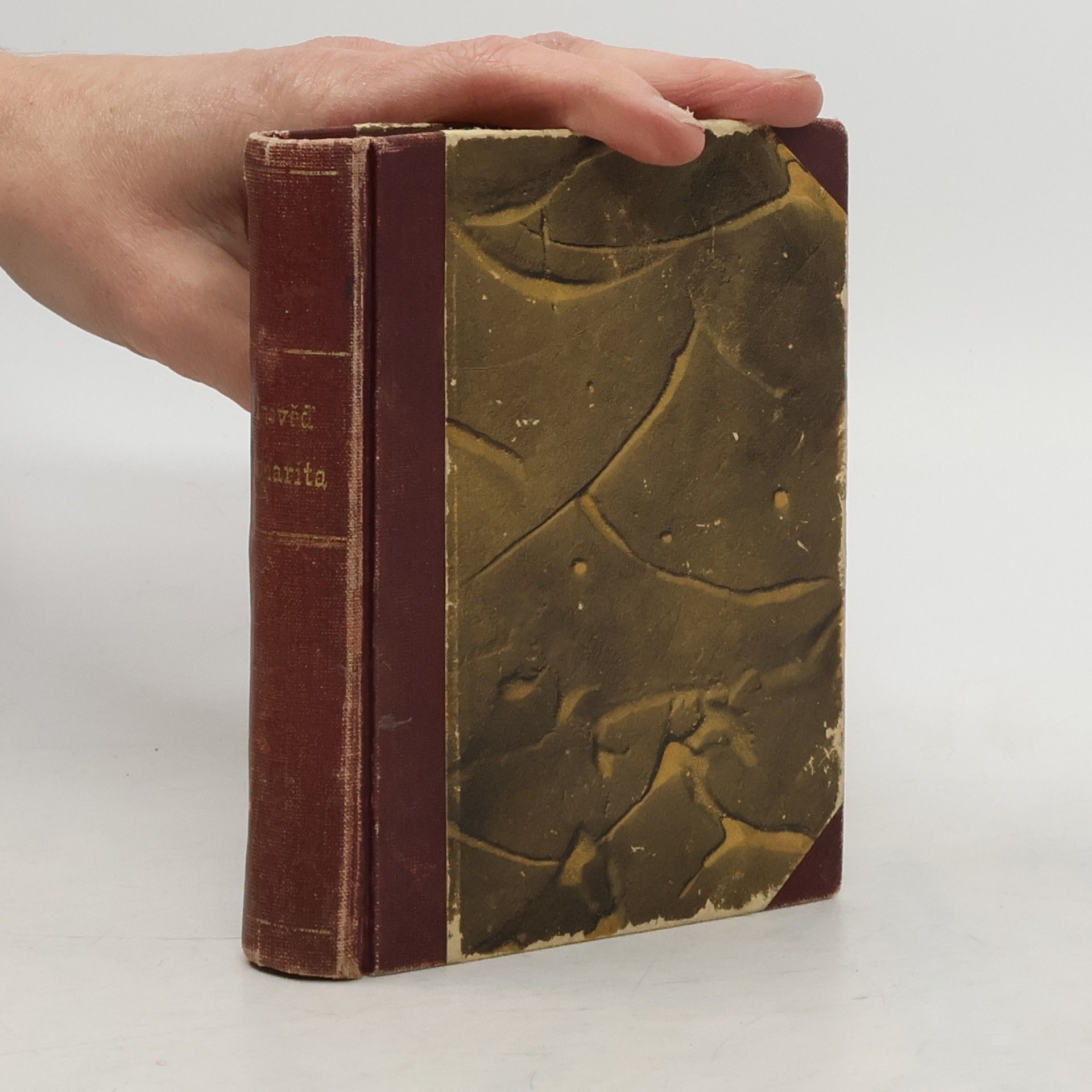 Louis Arleth Zpověď Samarita o Lazaře