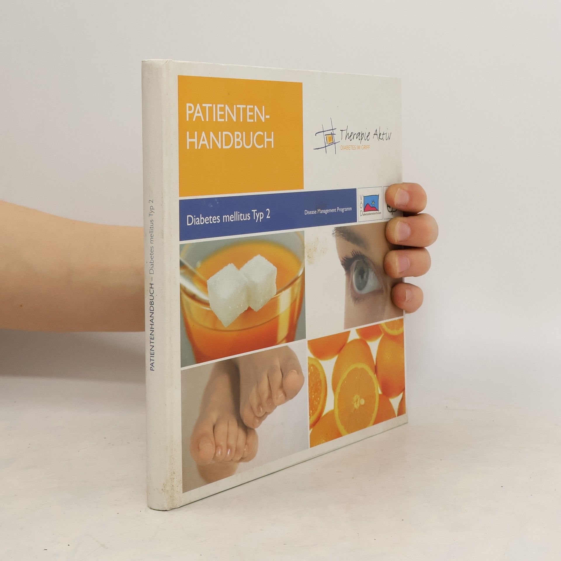 Auteurscollectief Patientenhandbuch Diabetes mellitus Typ 2