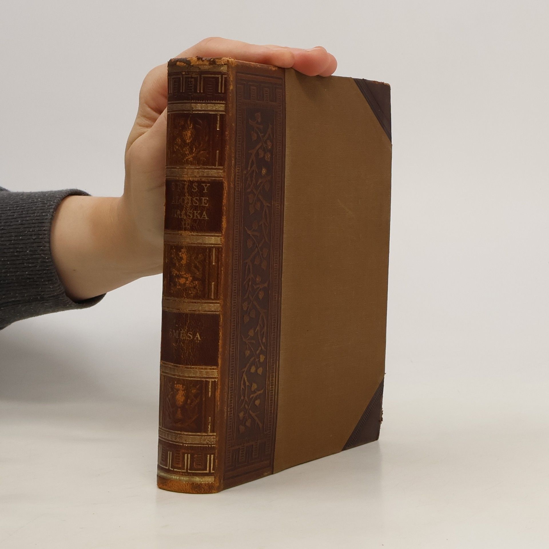 Alois Jirásek Směsa : belletrie i paměti