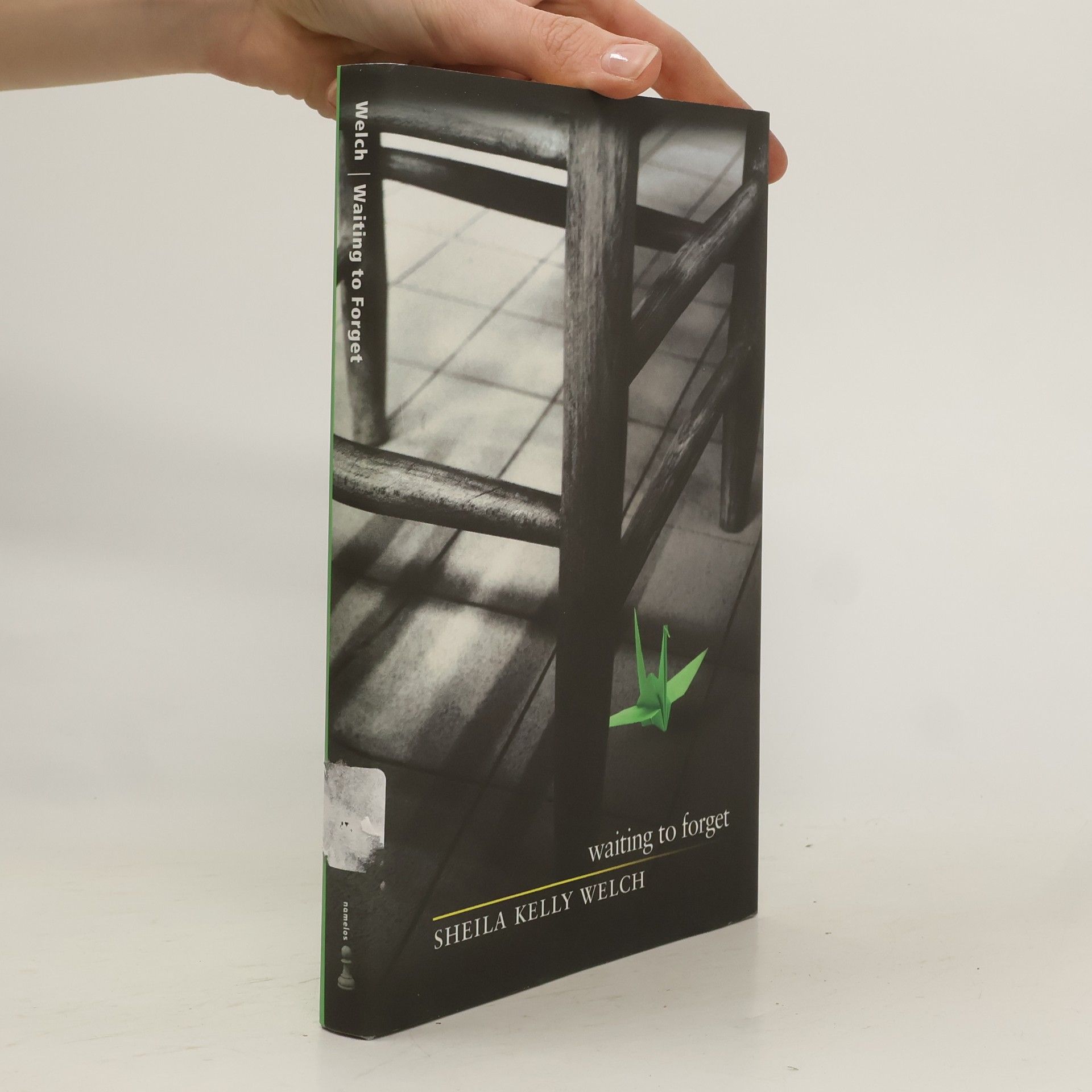 Sheila Kelly Welch Waiting To Forget