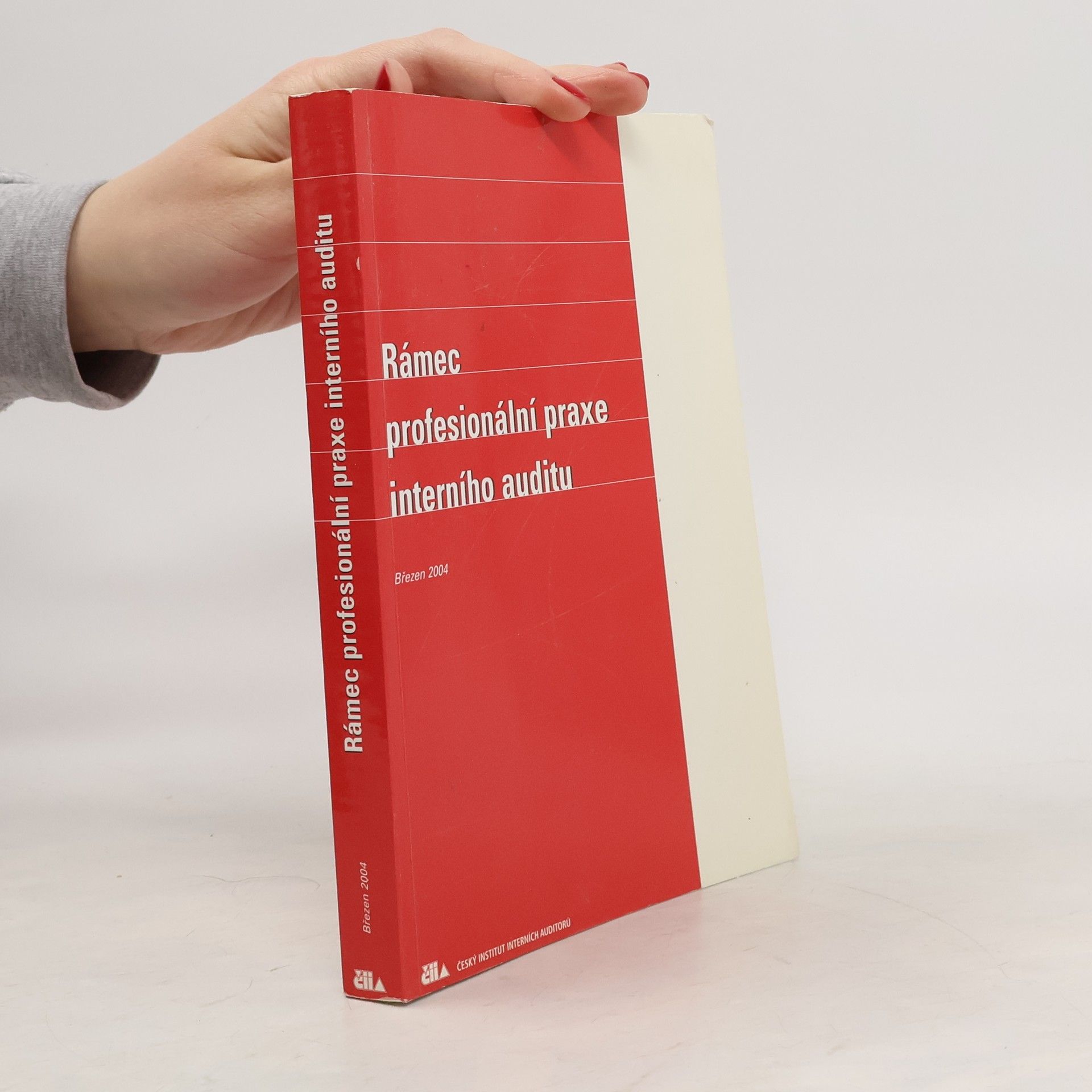 Collectif d'auteurs Rámec profesionální praxe interního auditu