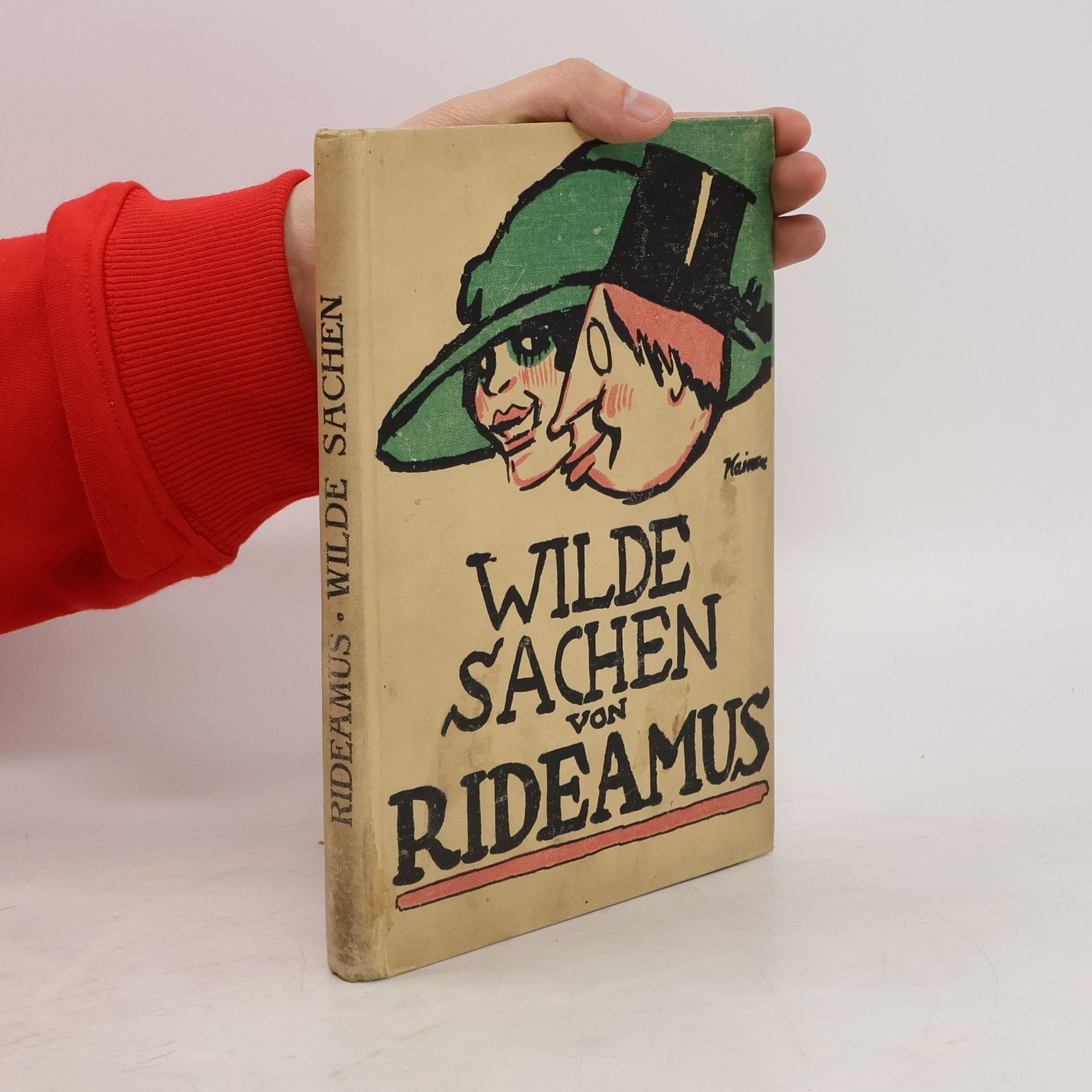 Autorenkollektiv Wilde Sachen von Rideamus