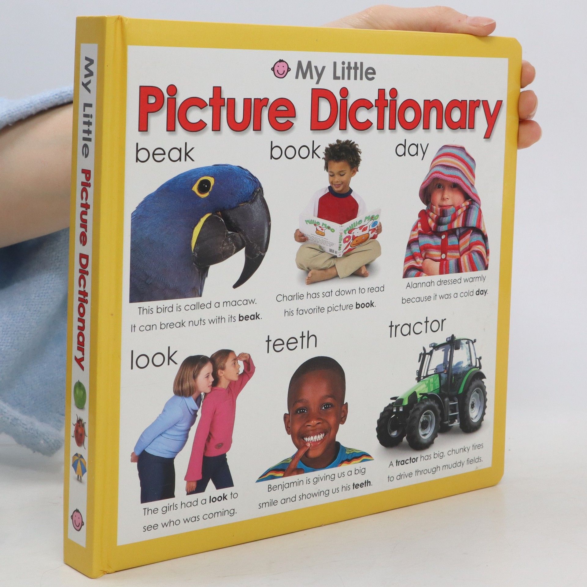 My Little Picture Dictionary 