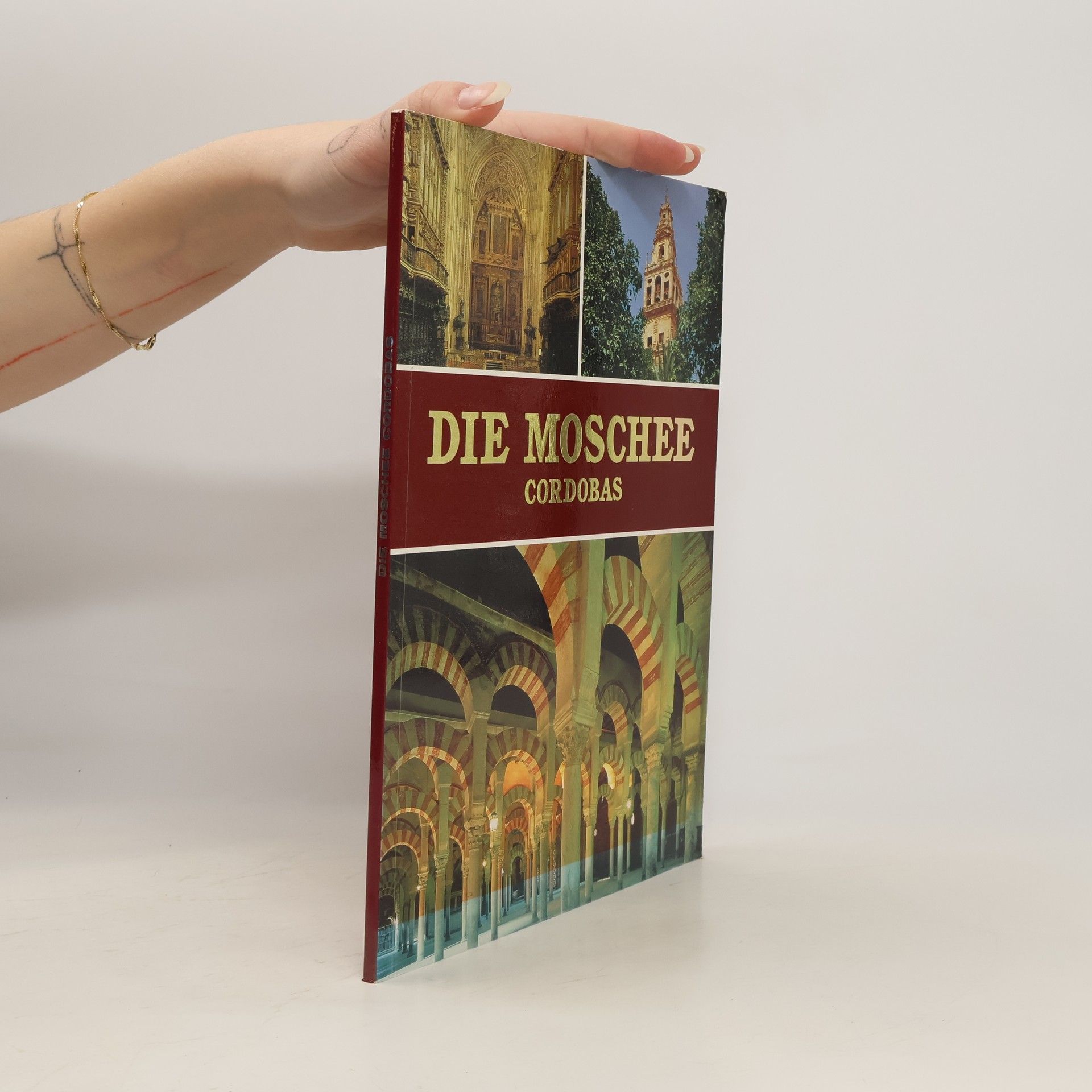 Manuel Salcines López Die Moschee Cordobas