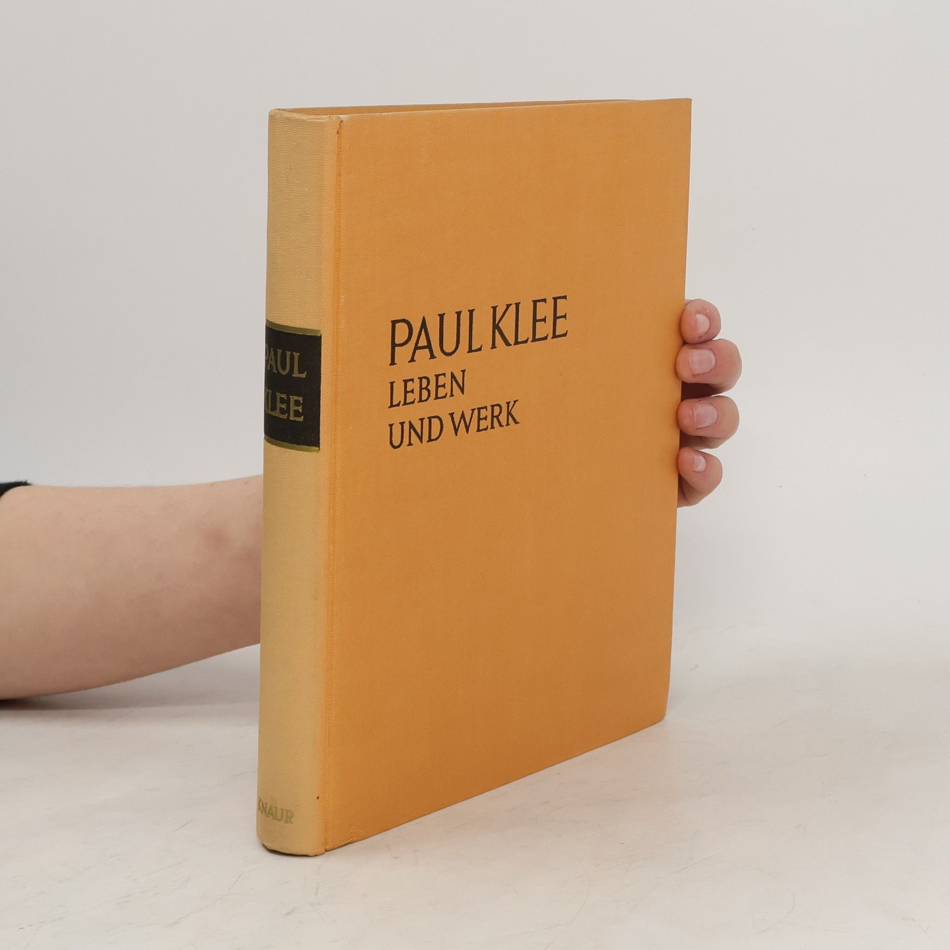 Autores varios Paul Klee. Leben und Werk