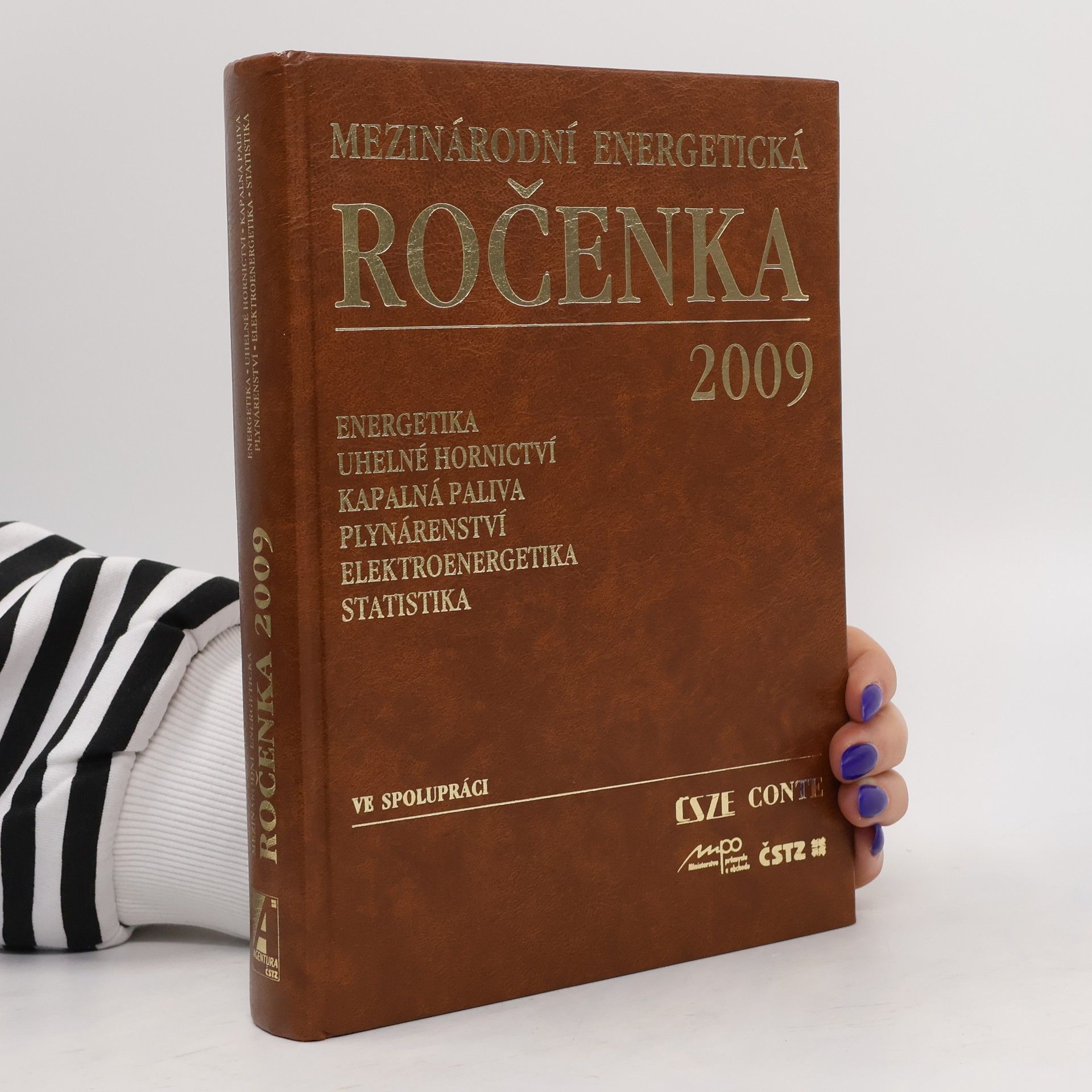 kolektiv Mezinárodní energetická ročenka 2009