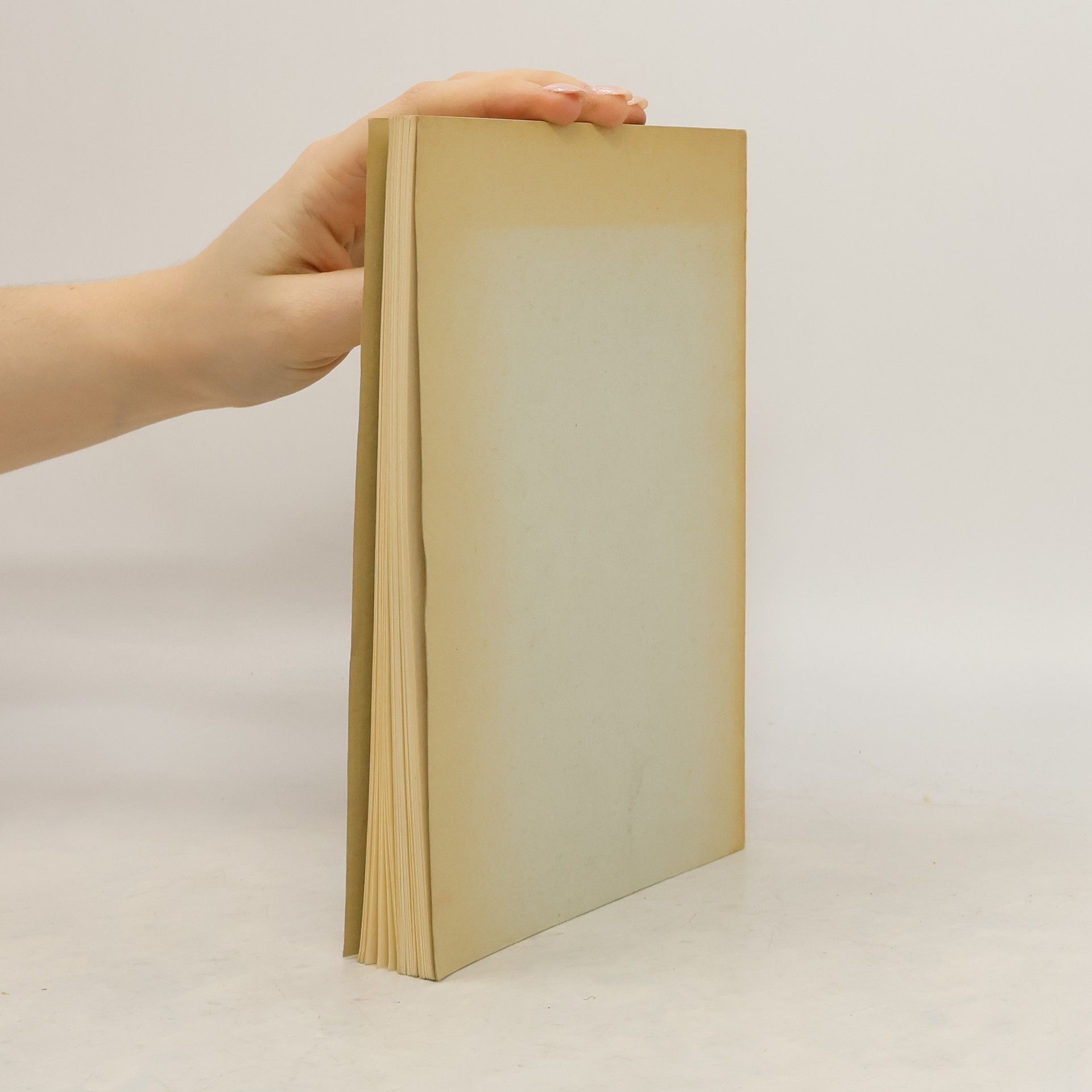 kolektiv Ausstellung der sektion Zürich