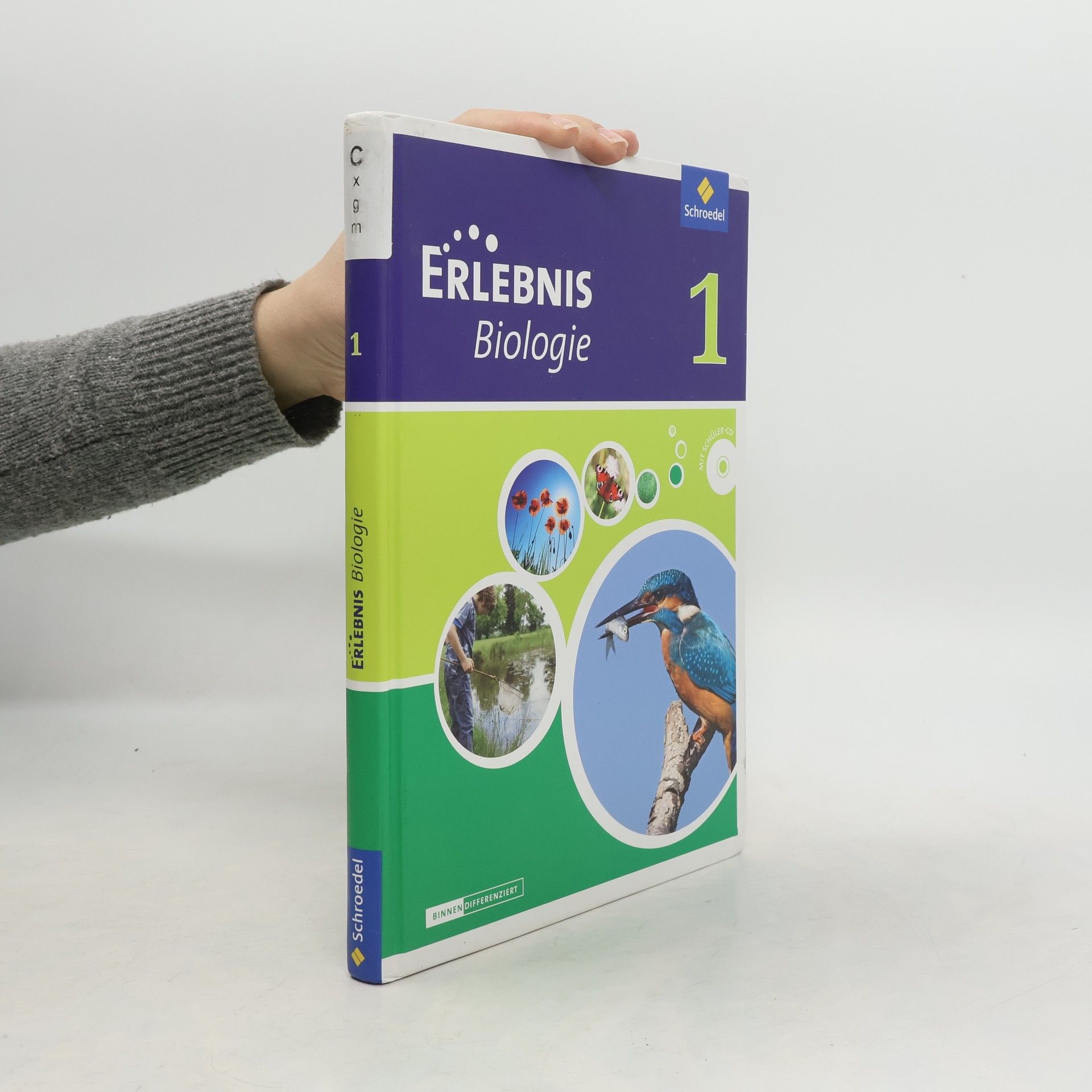 kolektiv Schülerband