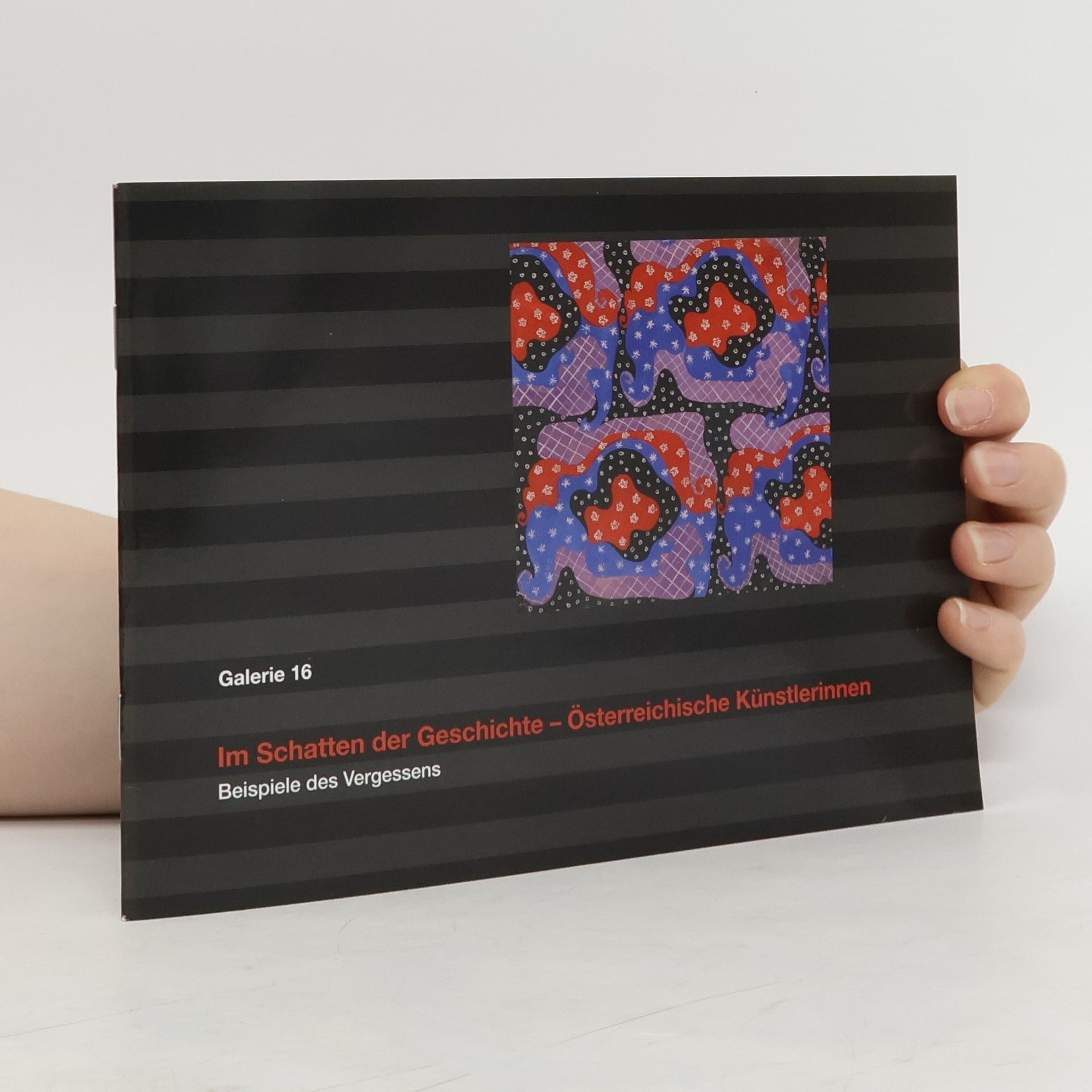 Autorenkollektiv Im Schatten der Geschichte - österreichische Künstlerinnen