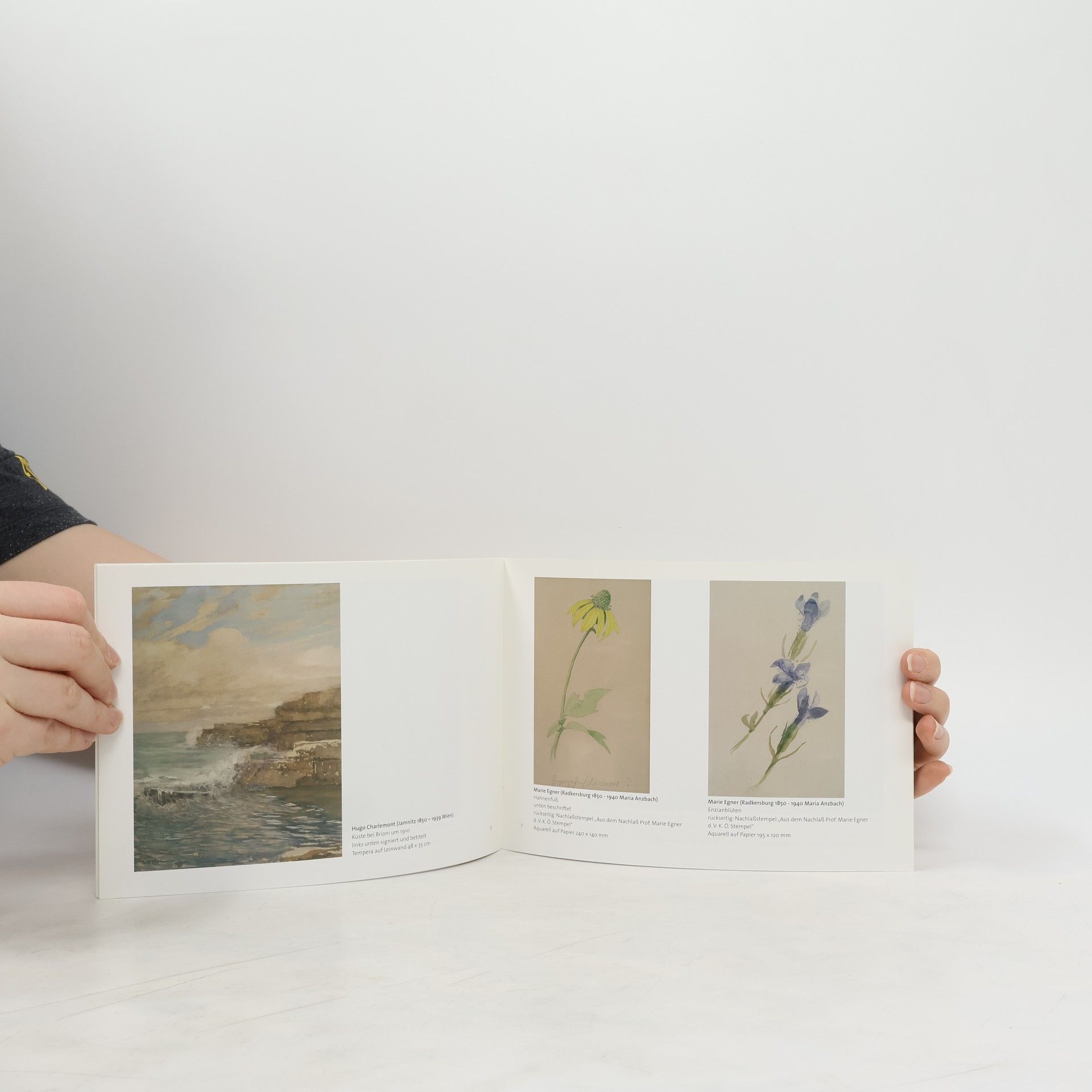 Alexander Jesina Aktuell Erworben Galerie 16