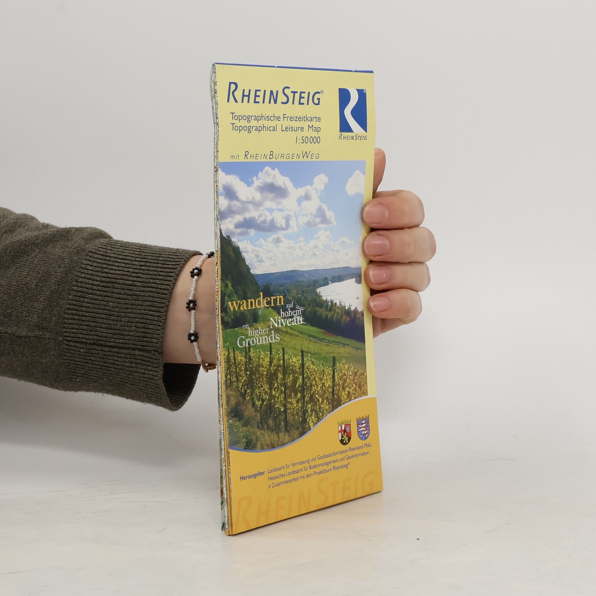 Collectif d'auteurs Topographische Freizeitkarte Rheinland-Pfalz Rheinsteig