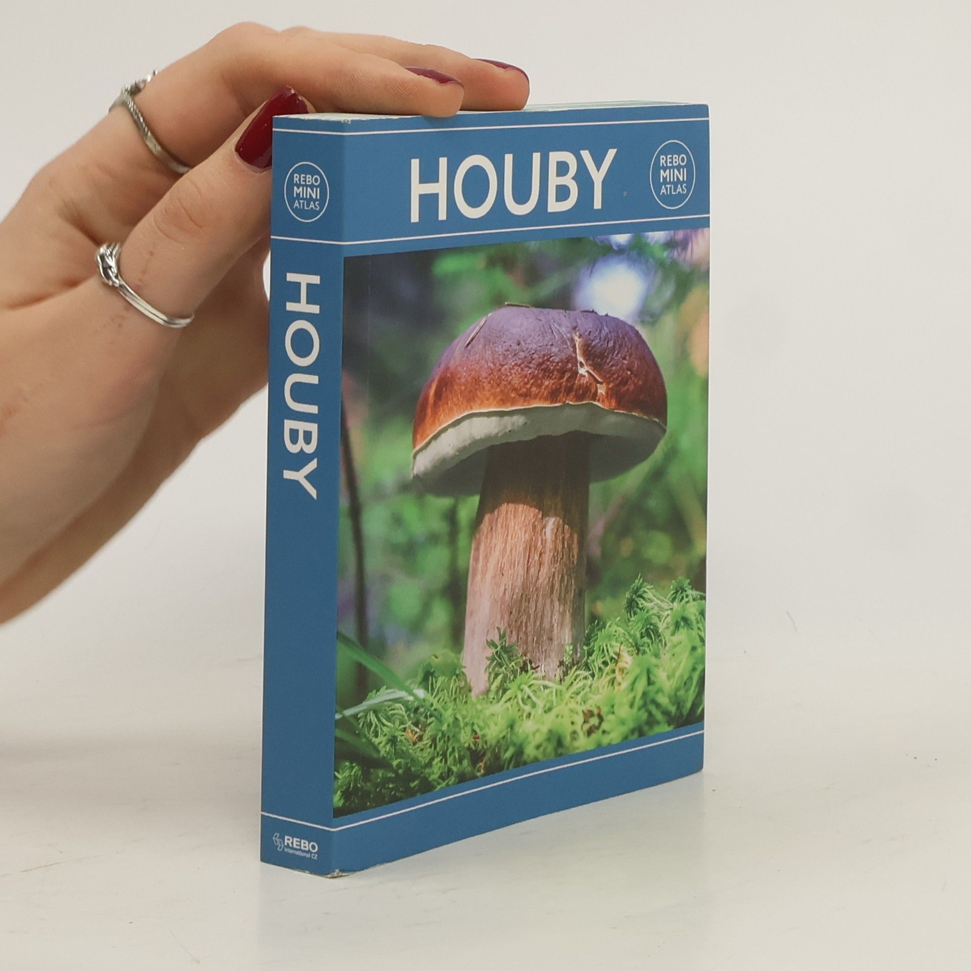 Autorenkollektiv Houby miniatlas