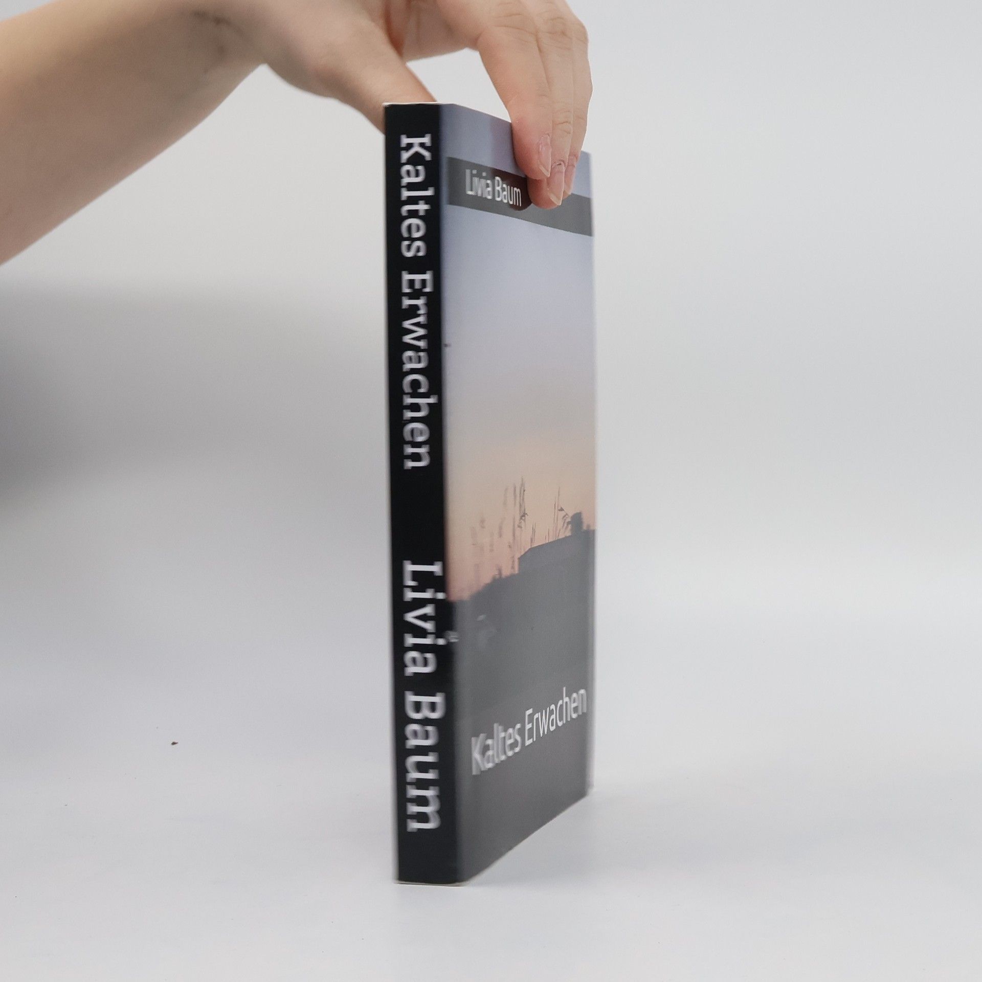 Livia Baum Kaltes Erwachen