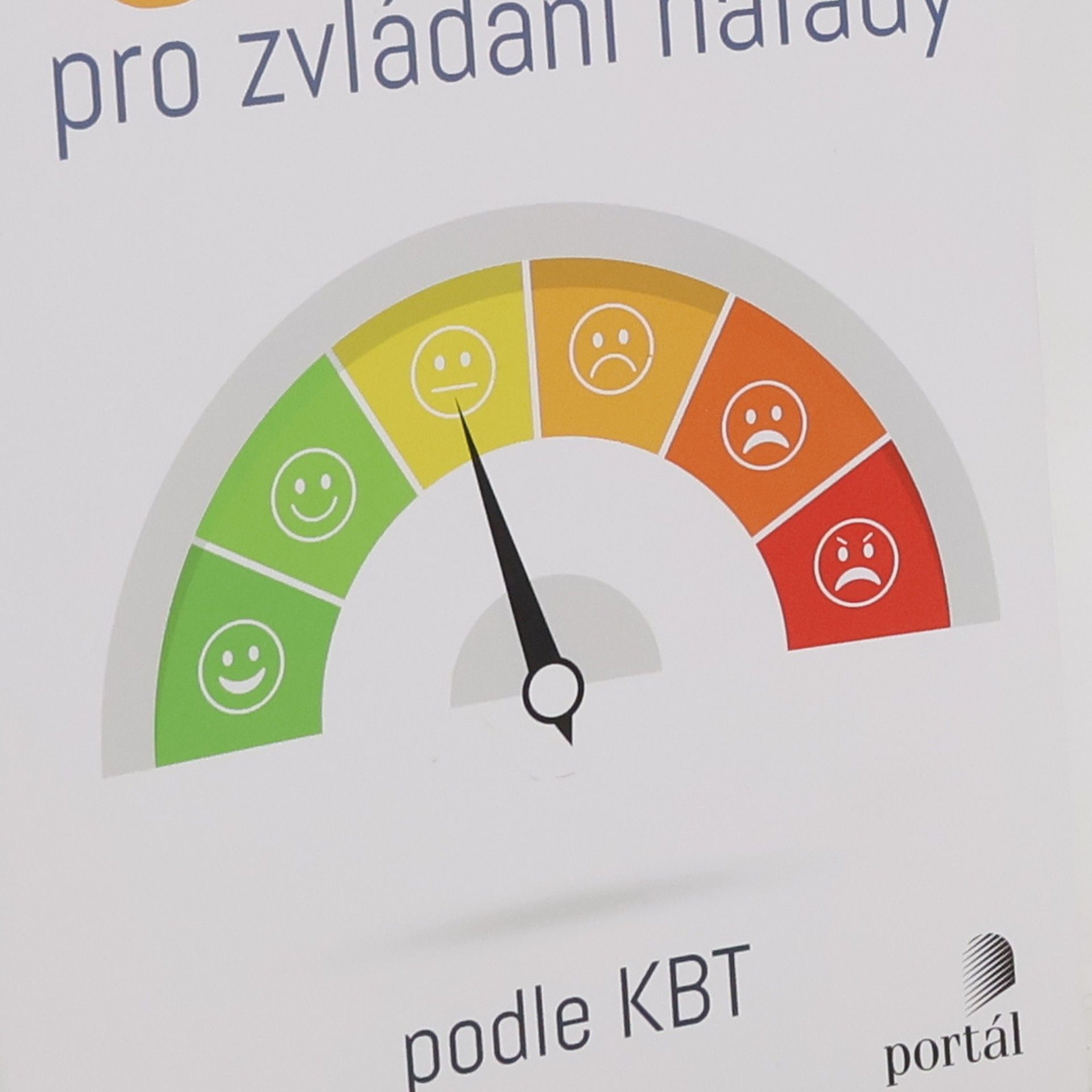 Matthew McKay 6 dovedností pro zvládání nálady : podle KBT