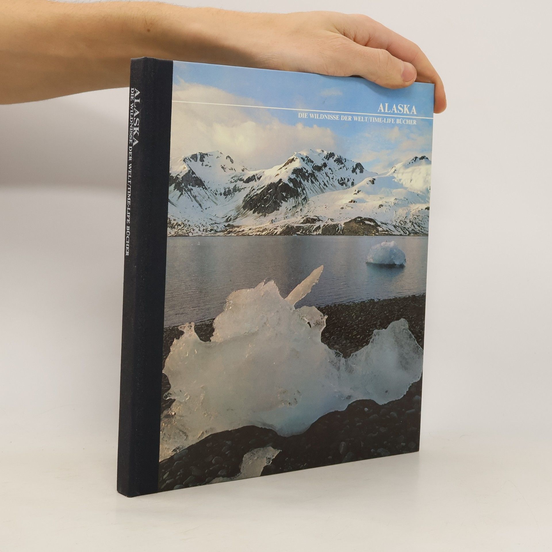 kolektiv Alaska